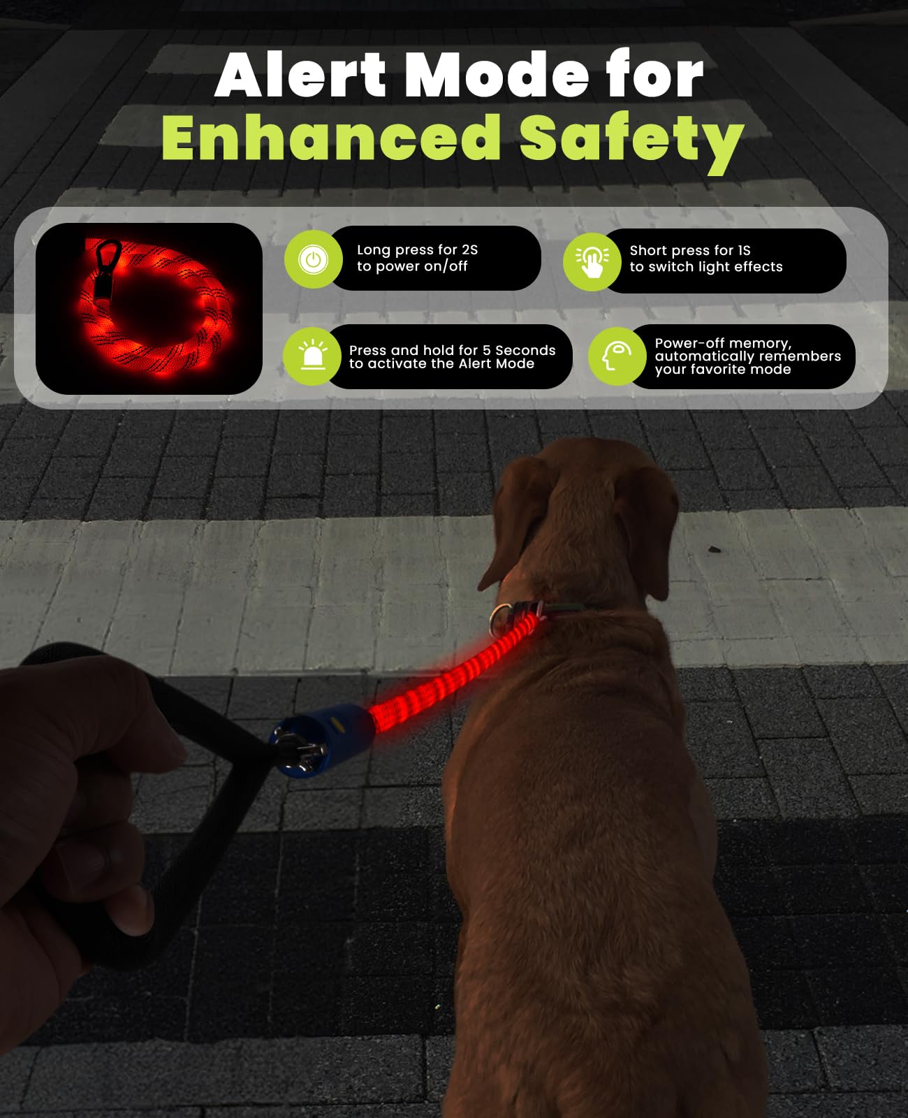 Light Up Dog Leash, Led Pet Leash For Night Walking,13 Lighting Modes, Rechargeable Dog Lights, Glow In The Dark Walking Leashes