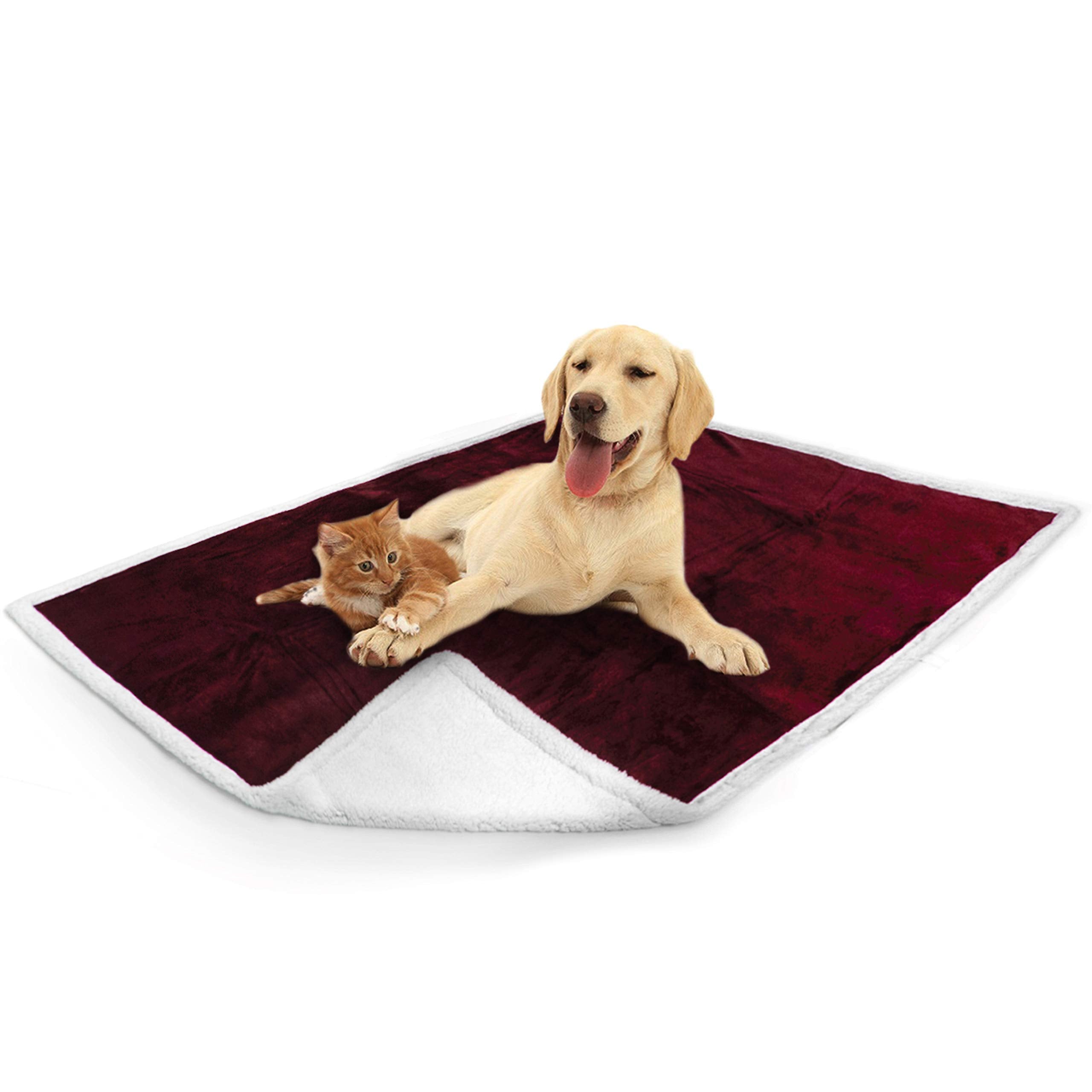 Petami Waterproof Dog Blanket For Medium Large Dog, Pet Puppy Blanket Couch Cover Protection, Sherpa Fleece Cat Blanket, Sofa Bed Furniture Protector Reversible Soft Plush Washable, 60X40 Wine Red