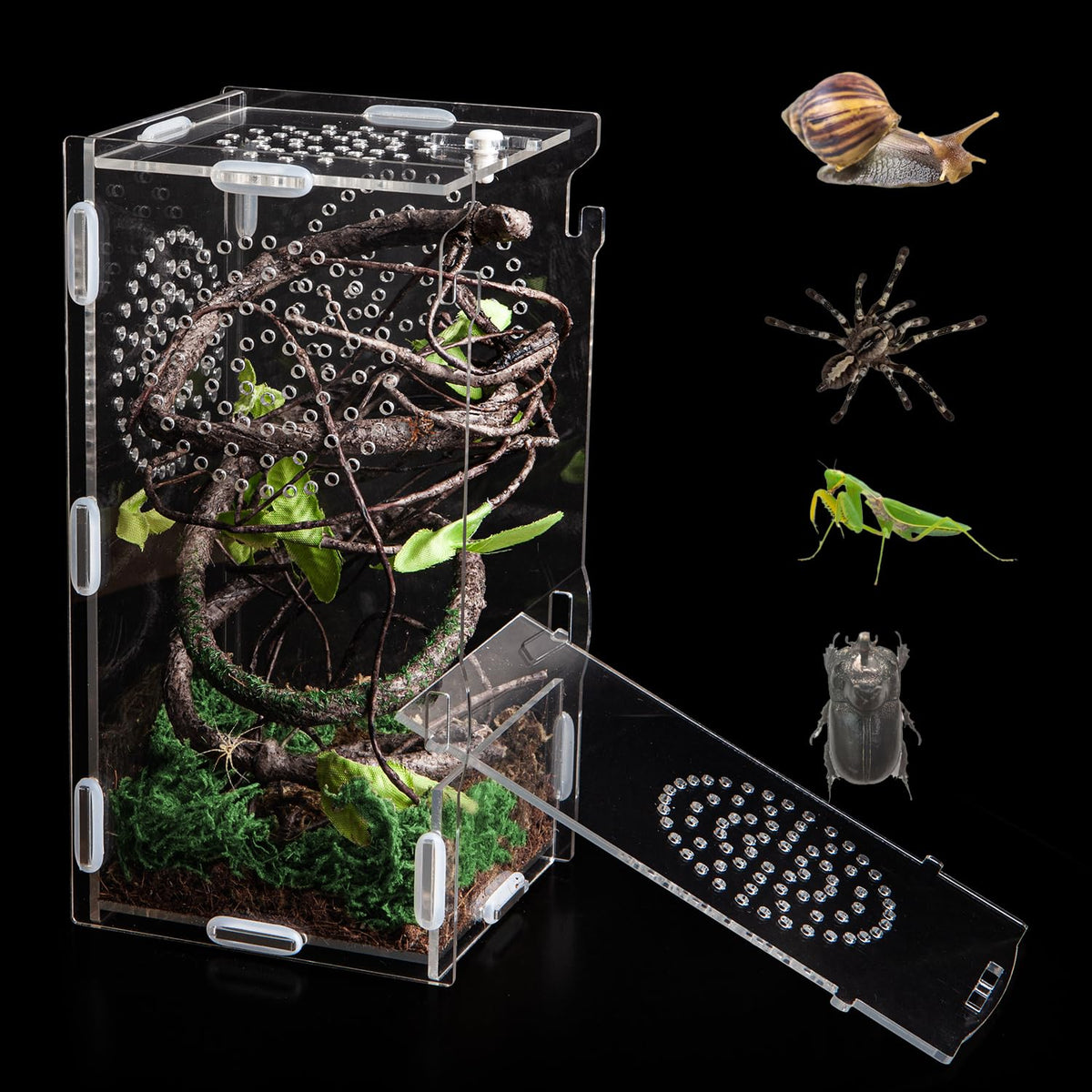 Acrylic Reptile Terrarium,8''*4''*4'' Mini Jumping Spider Enclosure Feeding Box With Secure Lock For Tarantula, Insects, Frogs, 