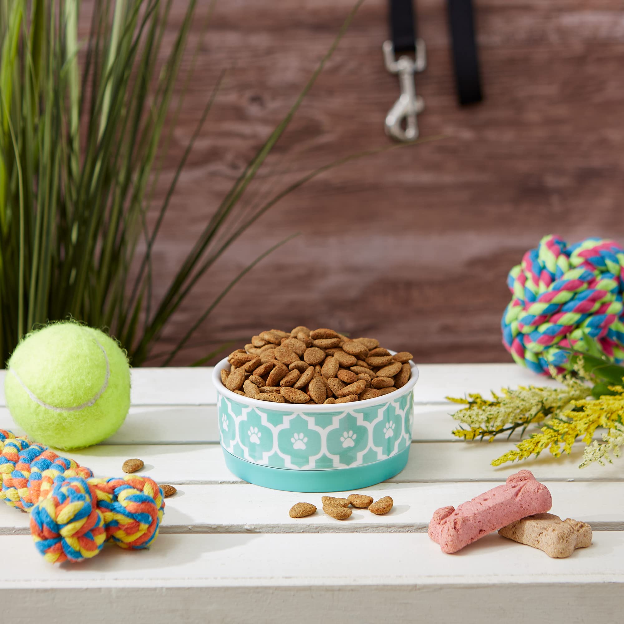 Bone Dry Lattice Collection Pet Bowl & Canister, Single Dish, Small 4.25x2, Aqua