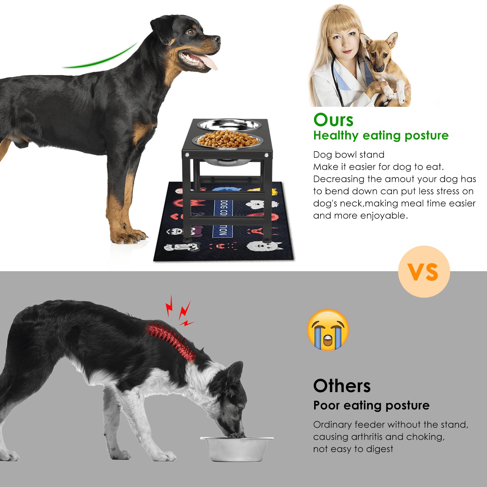 Adengl Metal Elevated Dog Bowls For Large & Medium Dogs, 10'' Tall Raised Stand With 2 Stainless Steel 42Oz Bowls & 16X24 Spill-