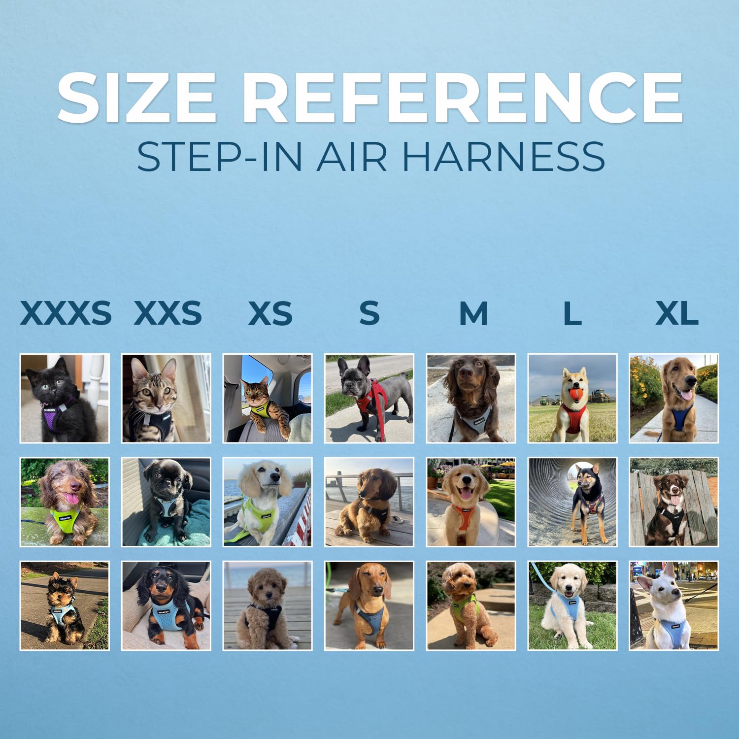 Voyager Step-In Air Dog Harness - All Weather Mesh, Reflective, No Pull Harness For Small, Medium Dogs, Cats - Secure With Hook & Loop Fastener, Buckle, Double D-Rings - Black/Black Trim, L