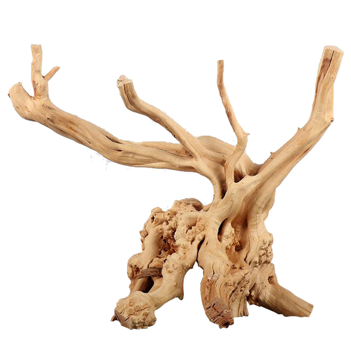 Wdefun Natural Spiderwood For Aquarium Decor 1-Piece 13''-16'' Long Natural Driftwood Branches For Fish Tank Decorations