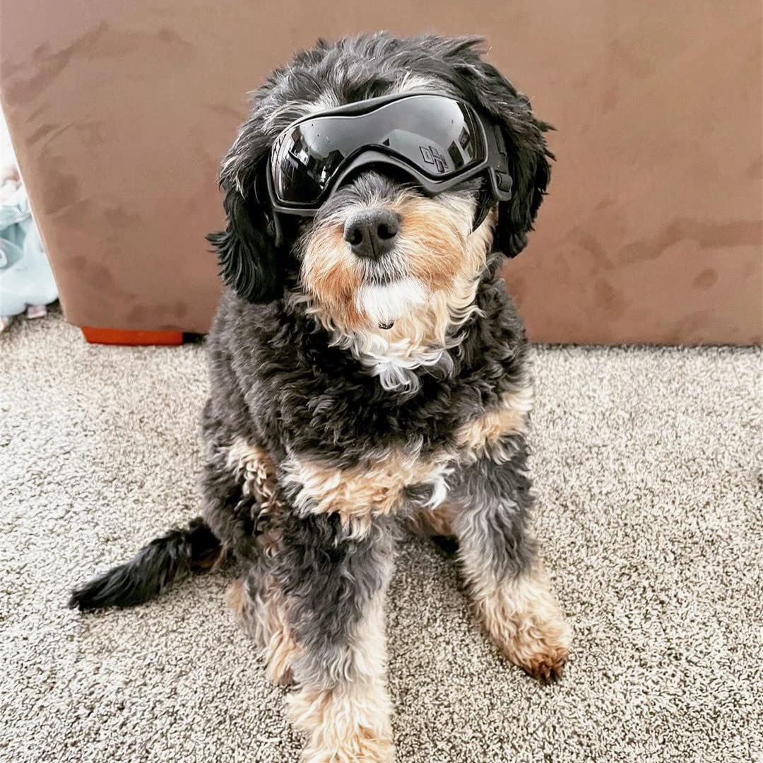 Namsan Dog Sunglasses Medium Breed, Uv Protection, Anti-Fog Dog Goggles For Small To Medium Dogs, Summer Windproof Dog Eye Protection, Winter Snow Eyewear, Easy Put-On/Adjustable, Cool Black