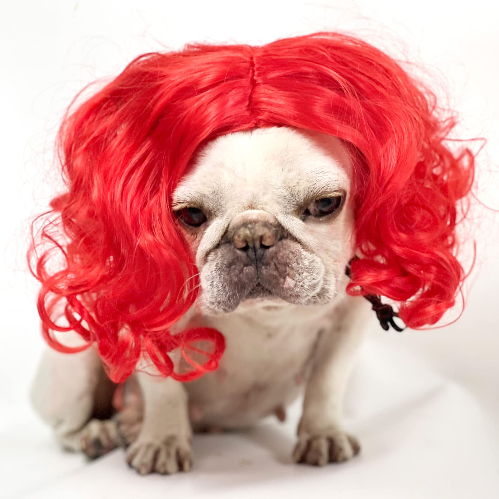 Funny Dog Cat Cosplay Wig, Pet Wigs For Halloween, Christmas, Parties, Festivals, Dog Wigs For Small Medium And Large Dogs (Wine Red)