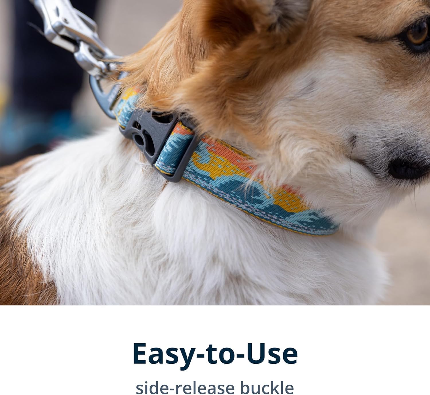 Ruffwear, Crag Dog Collar, Reflective and Comfortable Collar for Everyday Use, Canyon Oxbow, 20''-26''