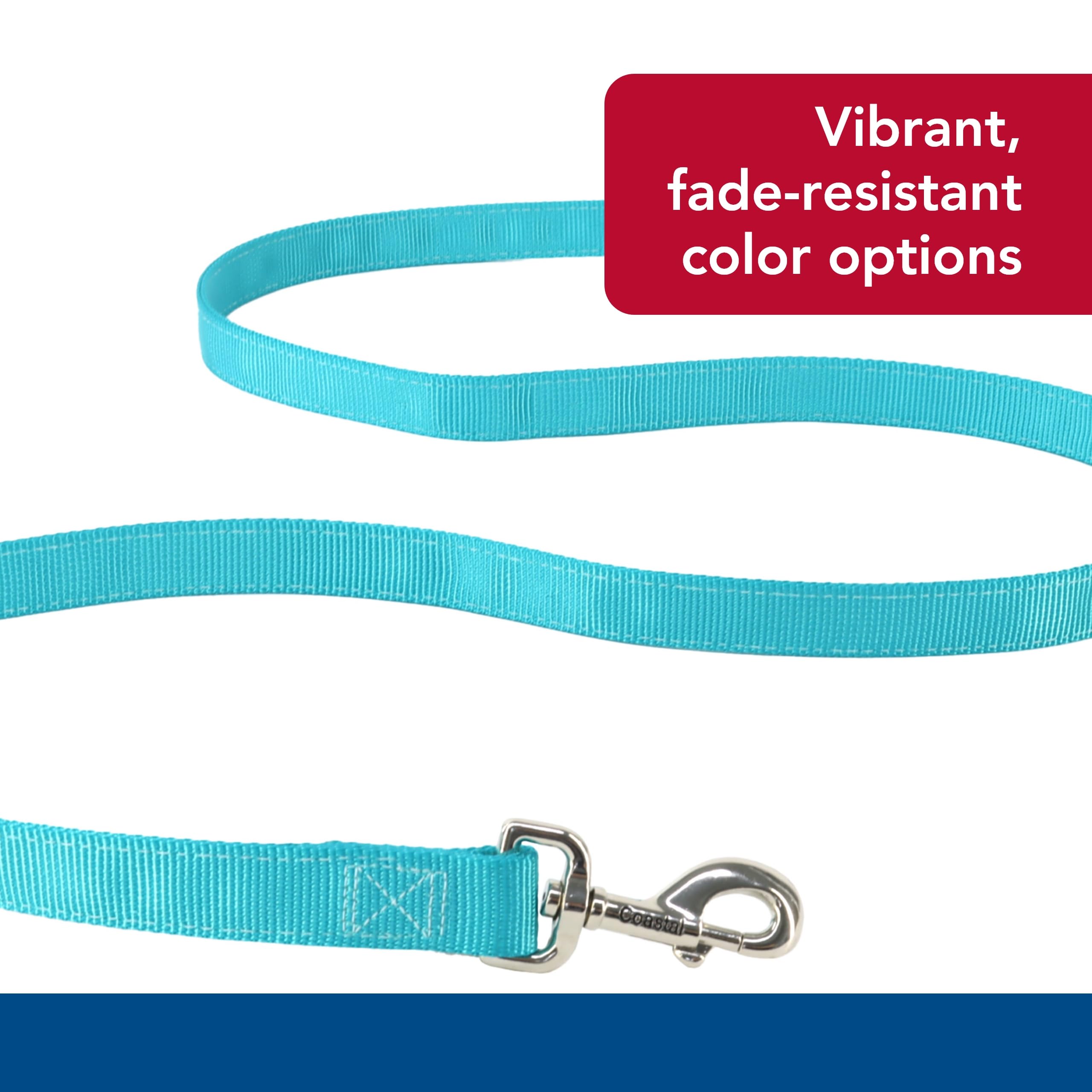 Coastal Pet Double-Ply Dog Leash - Bolt Snap Attachment To Collars And Harnesses - Nylon Dog Walking Leash For Small, Medium And Large Dogs - Teal - 1' X 6'