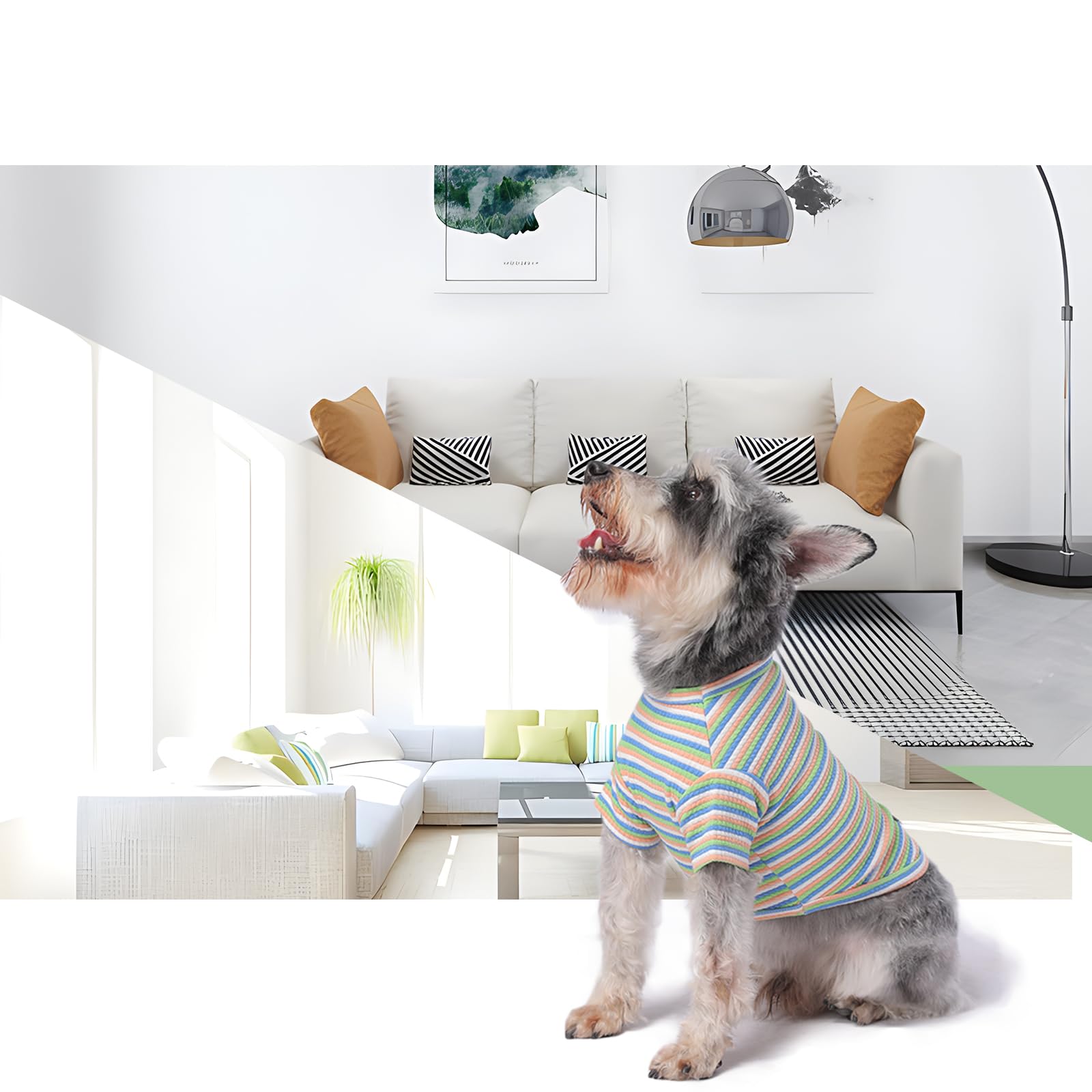 Mengmengda Dog Clothes For Small Dogs,Puppy T Shirt For Small Dogs, Dog Cotton Underwear Indoor During Winter, Schnauzer, Chihua