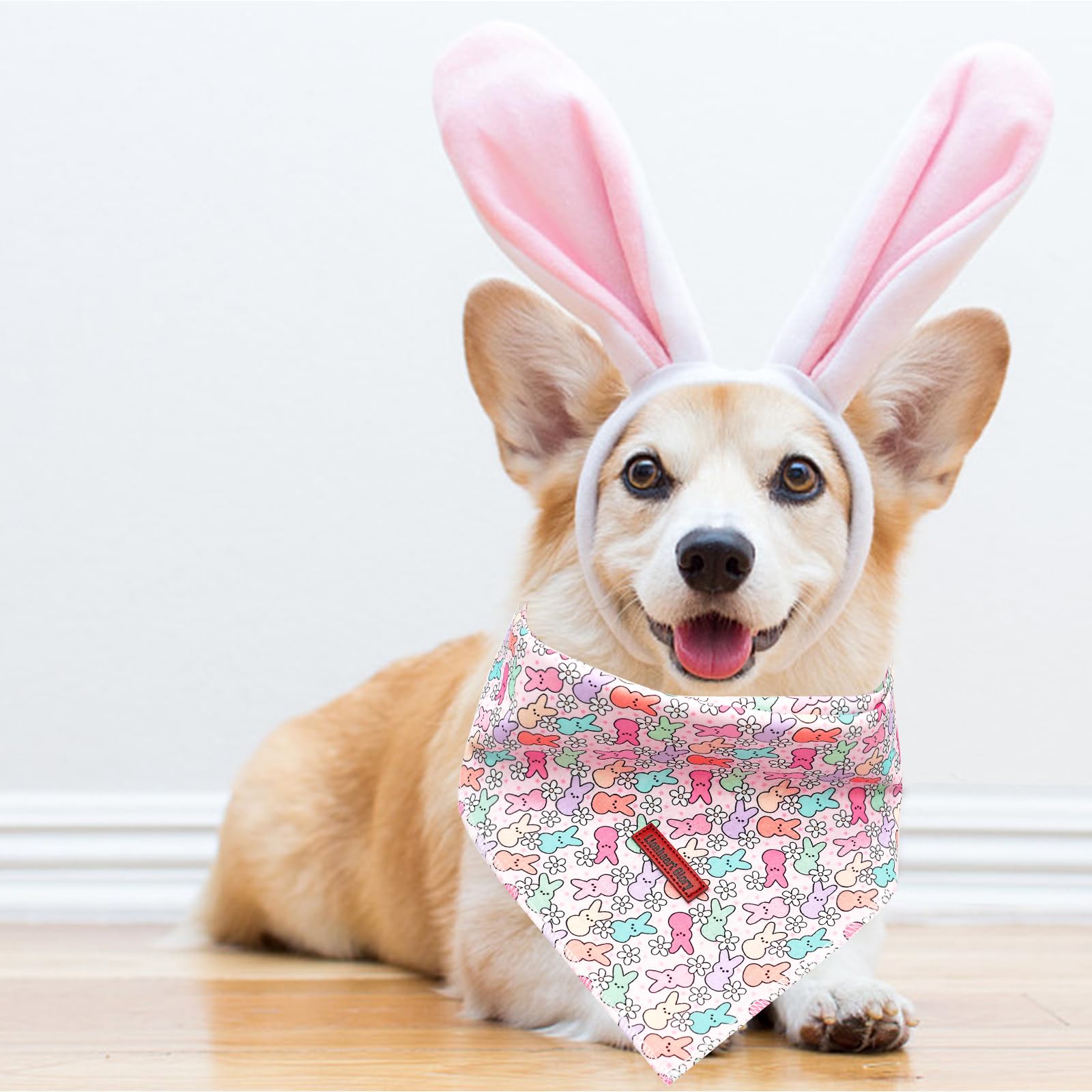 Lionheart Glory Easter Bandana - 1 Pack Washable Soft Dog Scarf, Square Adjustable Bandanas For Medium Large Dogs