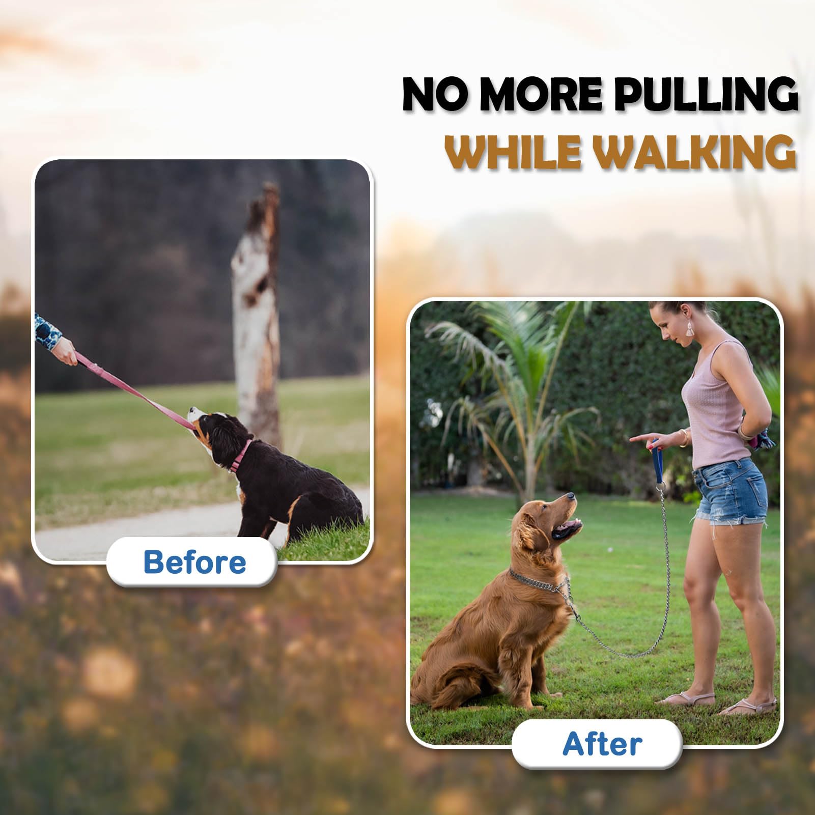 Mystercome Dog Chain Collar Metal Martingale Collar Anti Chew Training Collars Chew Proof Dog Slip Collar Chrome Plated Double L