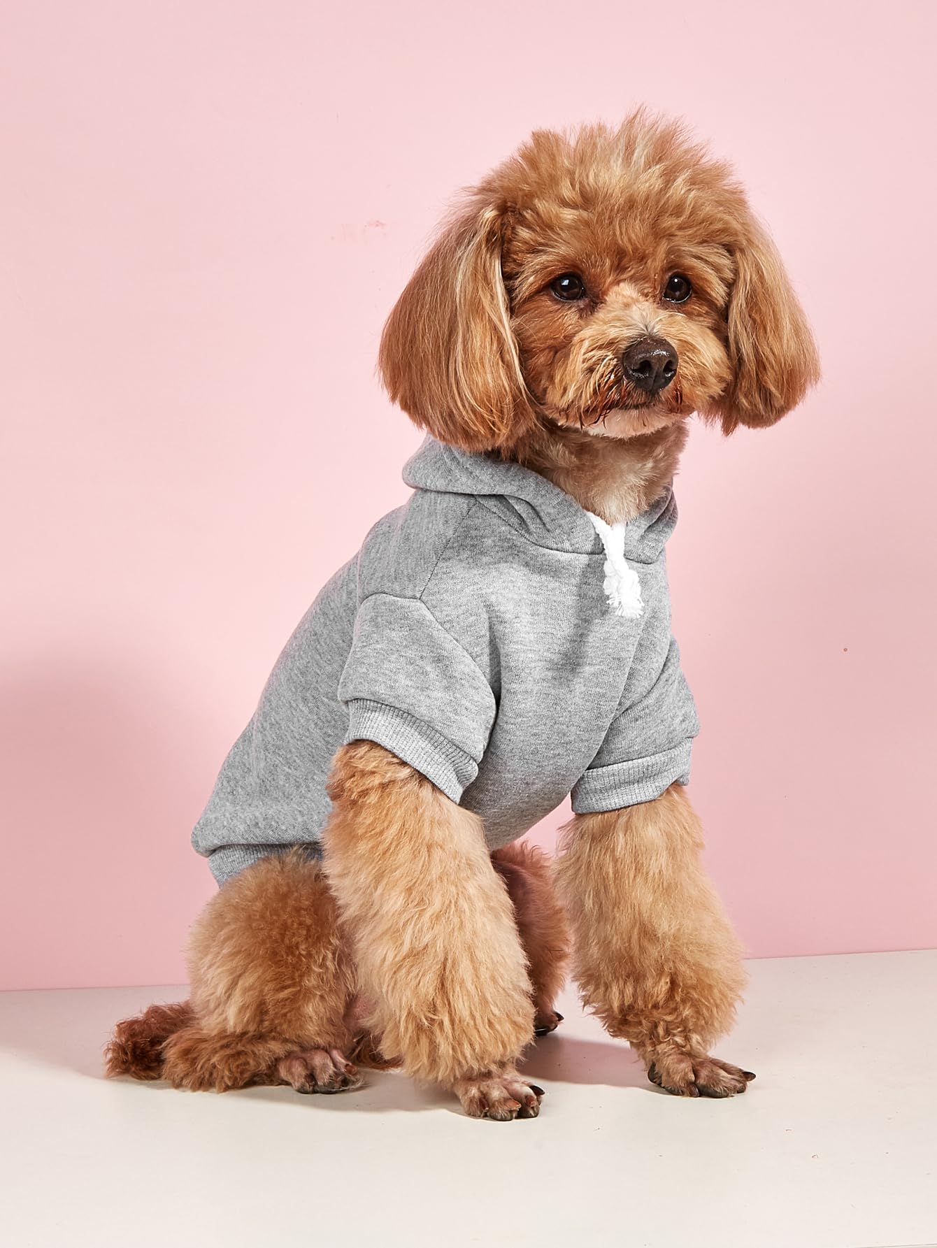 Qwinee 2Pcs Basic Dog & Cat Apparel, Warm Jacket, Shirt & Clothes For Puppy, Kitten, Small To X-Large Dogs & Cats - Black & Grey