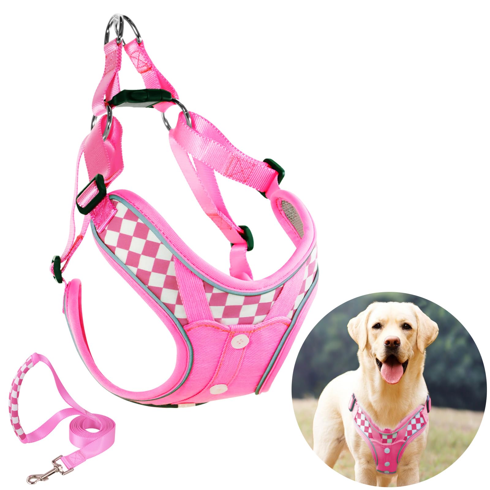 Dog Harness with Leash Set, No Pull Reflective Strips Adjustable Step in Collars with Breathable Padded Vest Harness for Large D