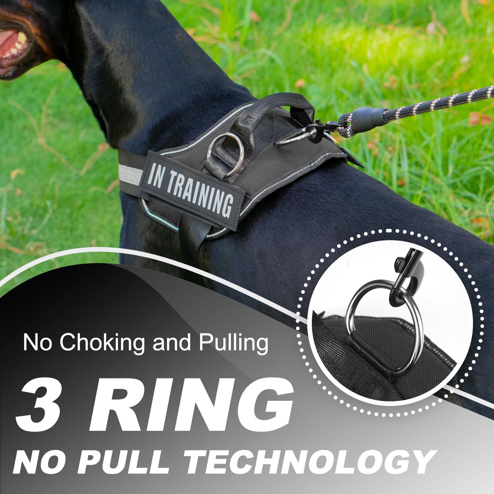 JUSTYEZI Essential Dog Harness with 3 Leash Clips - No-Pull, Adjustable, Comfortable Pet Vest Harness for Small to Large Dogs -