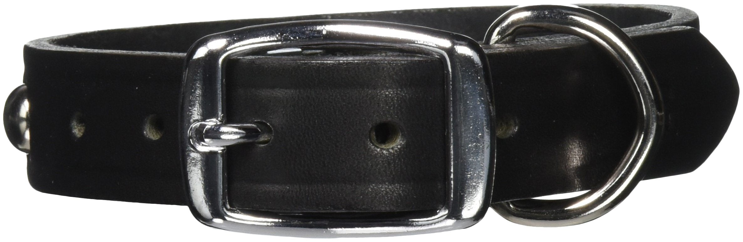 Omnipet Leather Brothers 100Ls-Bk20 1 X 20-Inch Regular Studded Latigo Leather Dog Collar, Large, Black