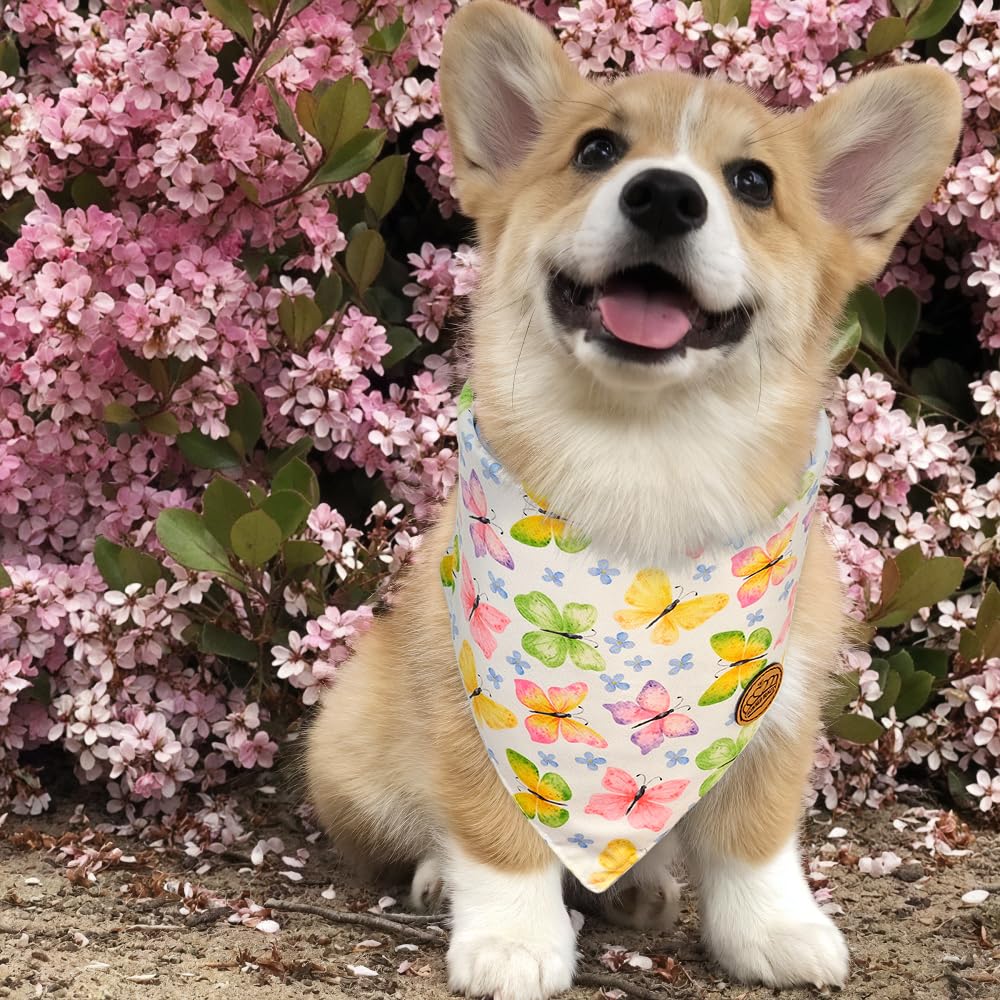 Crowned Beauty Spring Dog Bandanas Reversible Small 2 Pack, Butterfly Blooms Set, Floral Plaid Adjustable Triangle Holiday Scarv