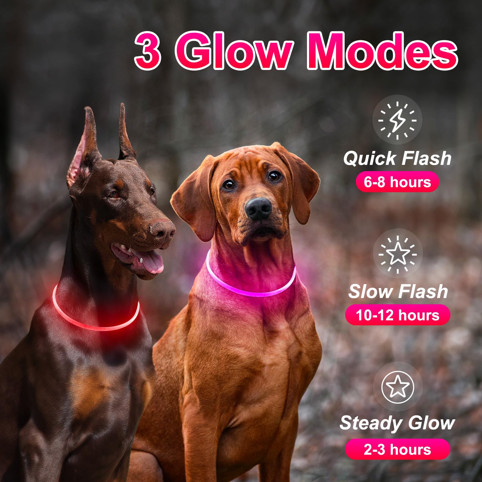 2 Packs Light Up Dog Collar, Led Dog Collar, Usb Rechargeable Dog Lights For Night Walking, Adjustable Glow In The Dark Collars