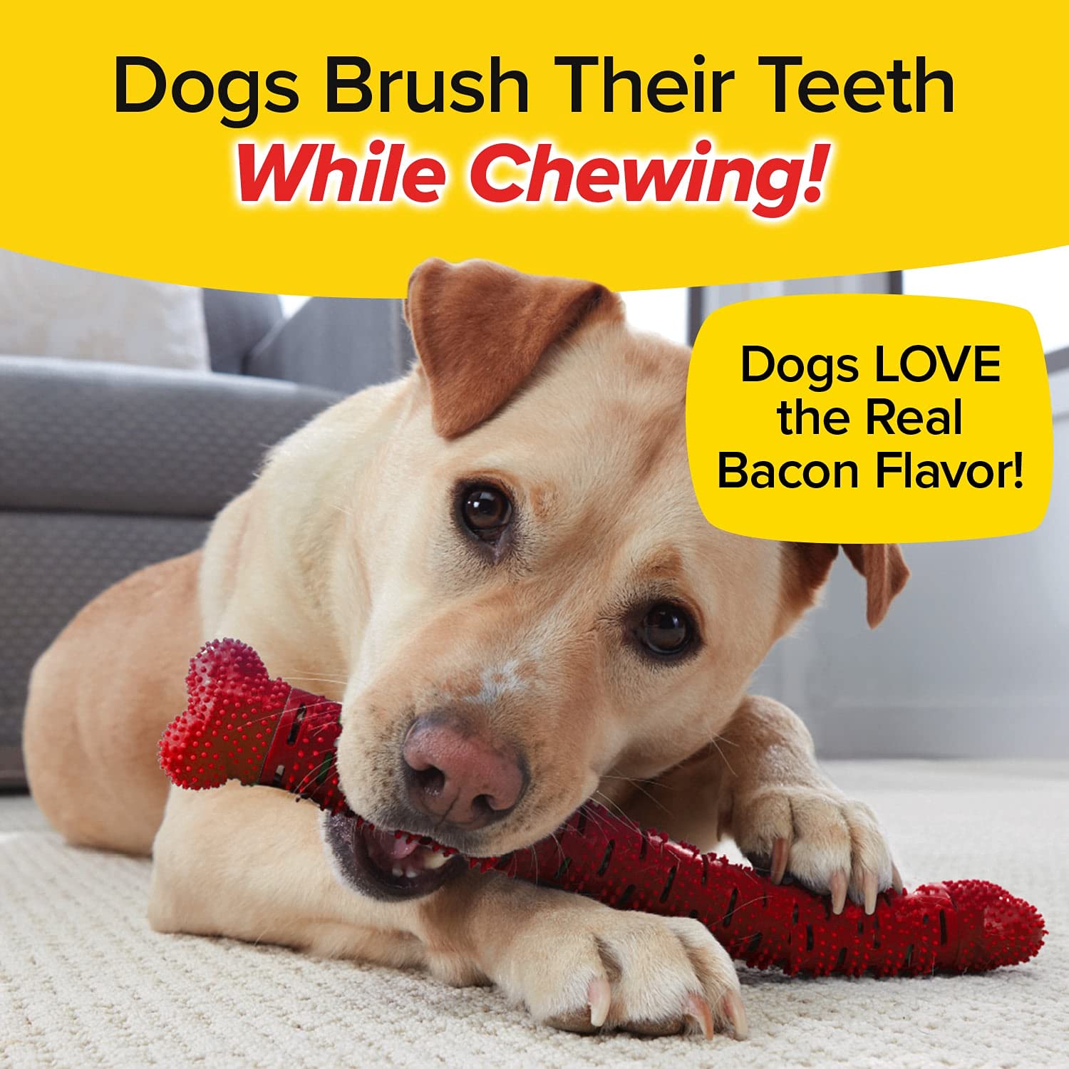 BulbHead Bonanza Bone Toothbrush, Infused with Real Bacon Flavor - Dogs Brush Chewing, Plaque and Tartar Remover for Teeth, Work