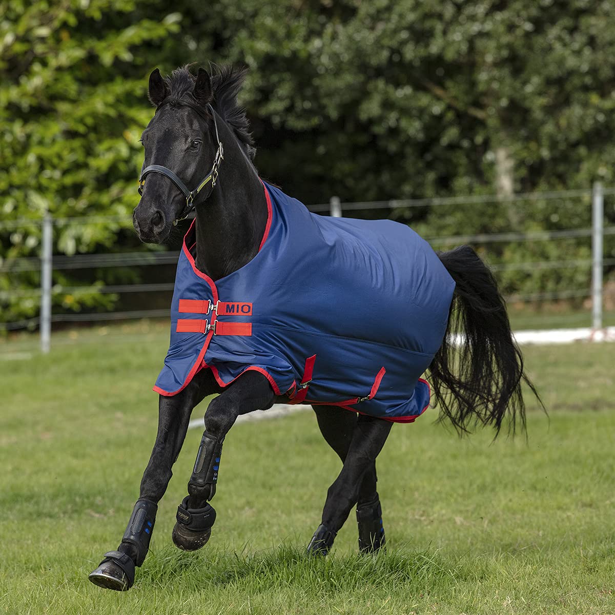 Horseware Ireland Mio T/O Lite, Color: Dark Blue/Dark Blue & Red, Size: 81 (Aasa41-Cdr0-81)