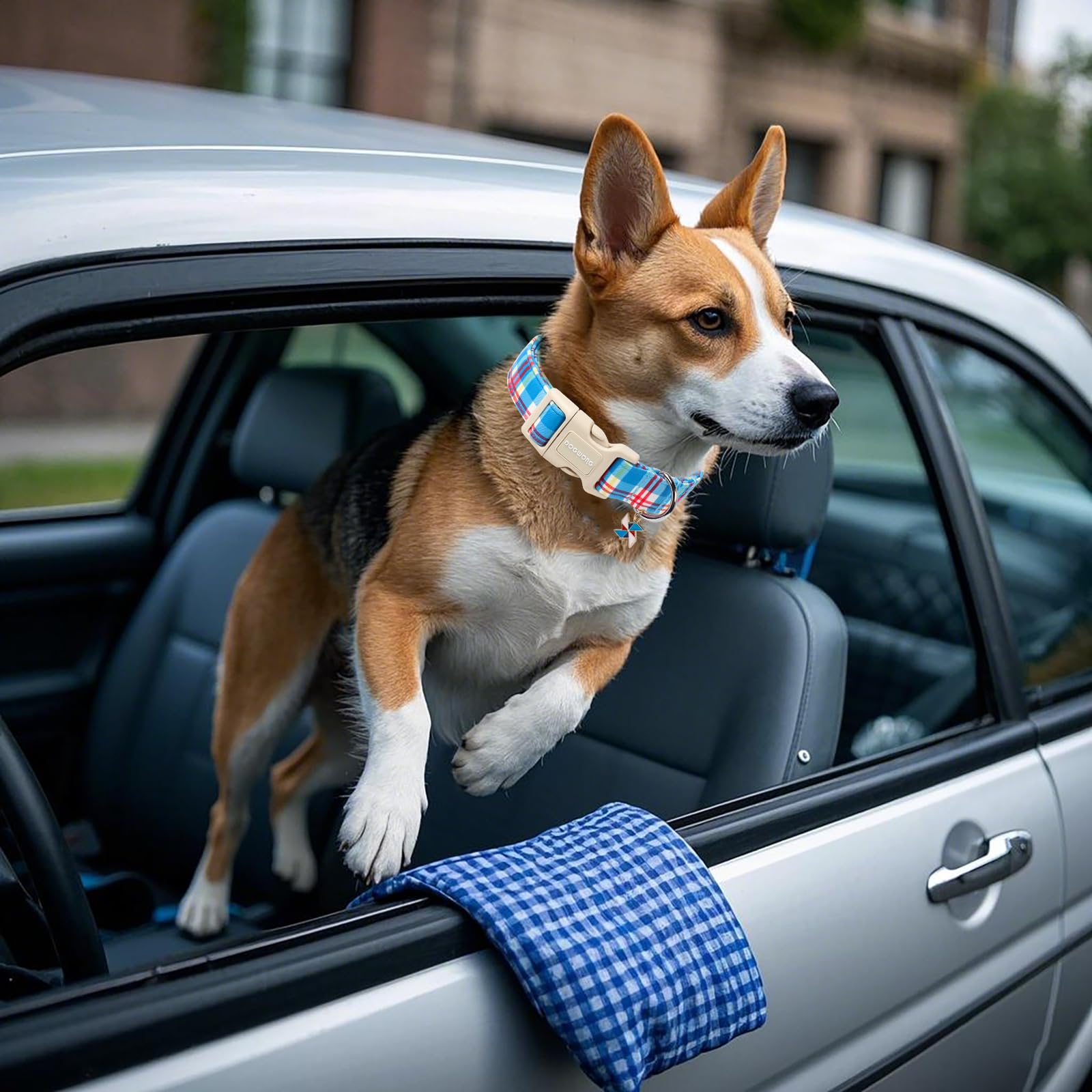 Dogwong Blue Plaid Dog Collar- Cute Checkered Dog Collars Adjustable Designer Blue Puppy Dog Collar For Small Medium Large Dogs