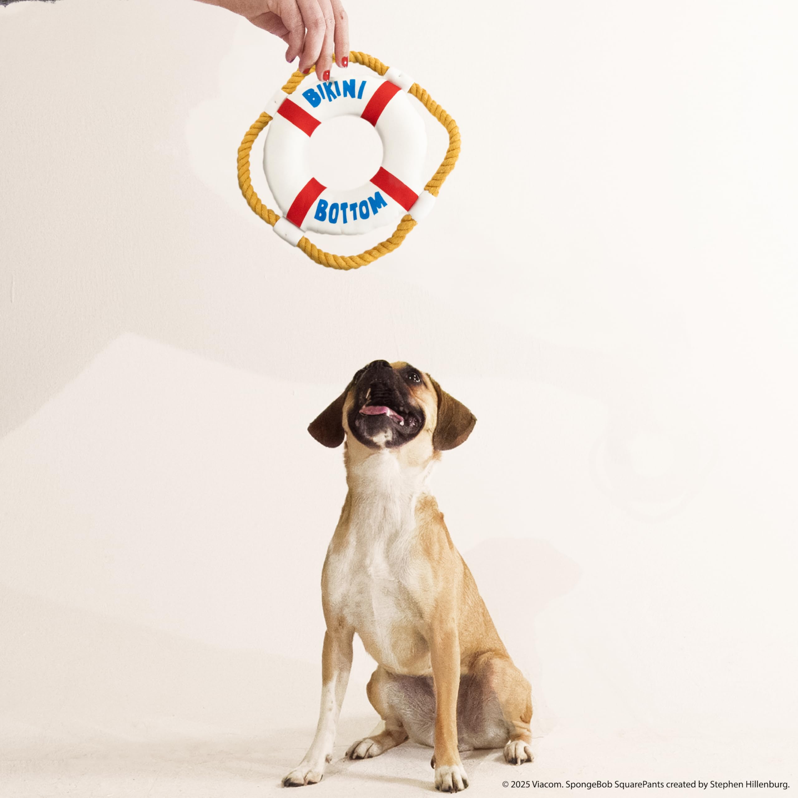 Design Lab, Inc. Spongebob Squarepants Official Merchandise | Squeaky Plush Toys For Dogs | 2-Pack Patrick Starfish And Life Pre