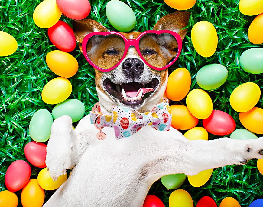 Dogwong Easter Dog Collar With Bowtie, Easter Egg Holiday Dog Collar Comfortable Durable Dog Collars For Small Medium Large Dogs