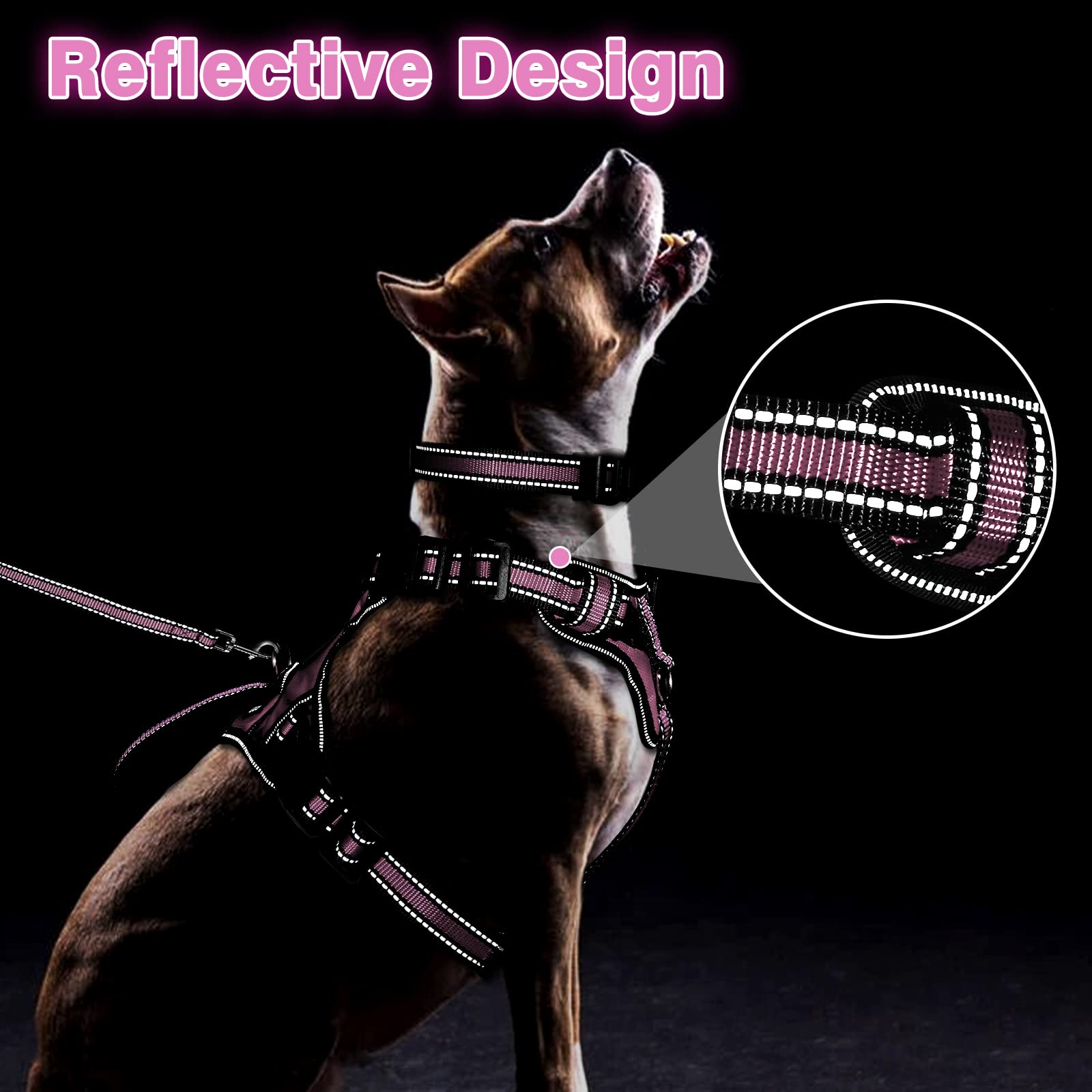 Winsee Pet Harness Collar And Leash Set, All-In-One Reflective Dog Harness No Pull With Adjustable Buckles For Puppies, Small, M