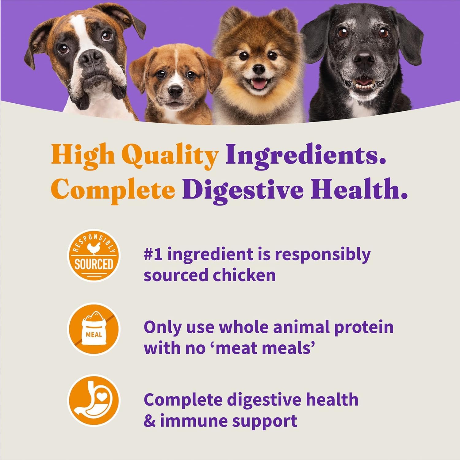 Halo Holistic Small Breed Dog Food, Cage Free Chicken & Brown Rice Recipe, Healthy Grains Dry Dog Food, Complete Digestive Healt