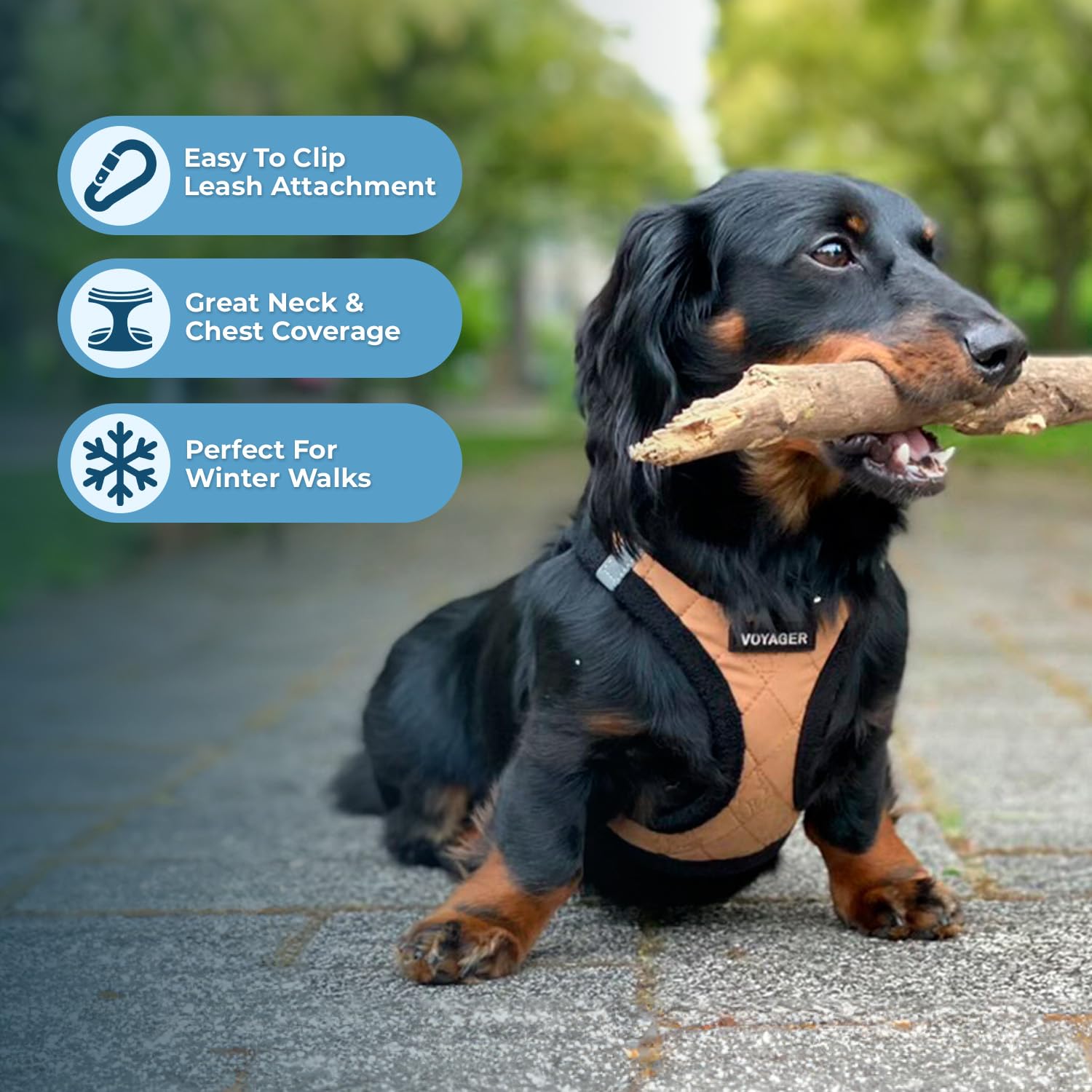 Best Pet Supplies - All Weather Plush, Reflective, No Pull Harness for Small, Medium Dogs, Cats - Secure with Hook & Loop Fasten
