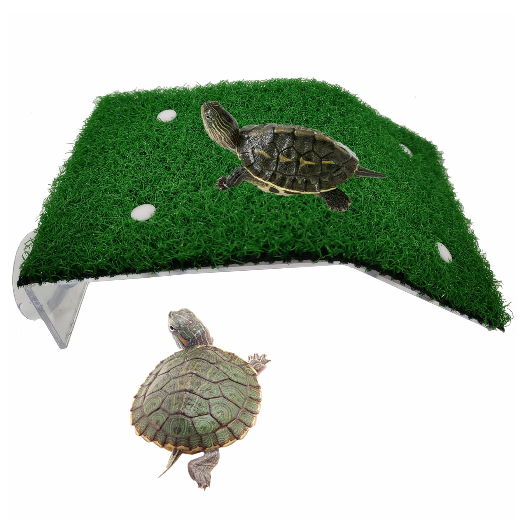 Lawn Turtle Basking Platform, Turtle Resting Basking Platform, Tortoise Ramp Climbing Reptile Ladder Resting Terrace Aquarium Floating Décor For Frog Terrapin Amphibian Habitat Hideouts (Medium)