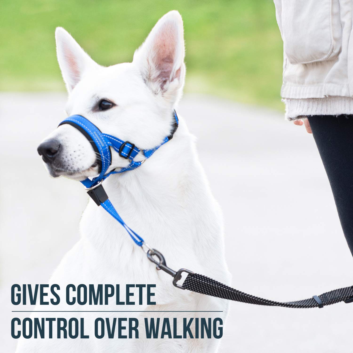 Goodboy Dog Head Halter With Safety Strap - Stops Heavy Pulling On The Leash - Padded Headcollar For Small Medium And Large Dog Sizes - Head Collar Training Guide Included (Size 3, Blue Nylon)