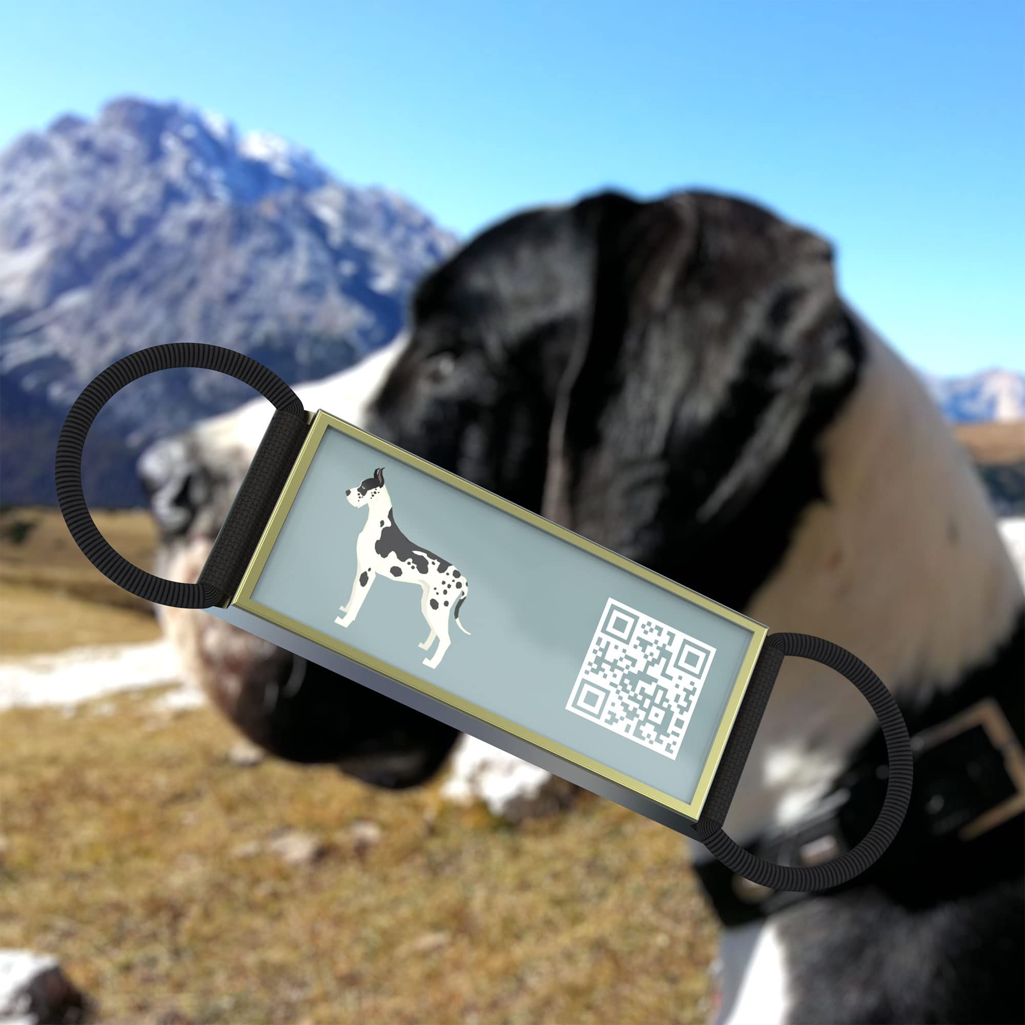 Disontag Qr Code Dog Tags Personalized Dog Tags, Slide-On Dog Id Tag Custom Dog Pet Tags, Online Pet Page Prevent Lost/Modifiable Great Dane Gifts