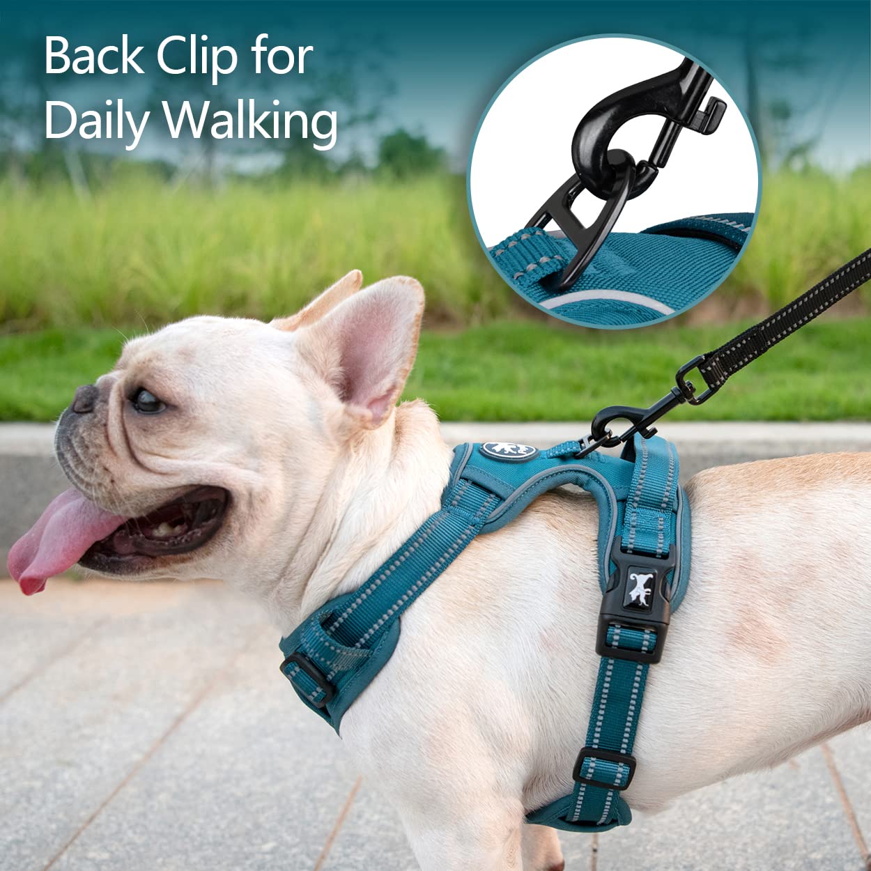 Poypet No Pull Dog Harness, No Choke Reflective Dog Vest, Adjustable Pet Harnesses With Easy Control Padded Handle For Small Medium Large Dogs(Tumalo Teal,S)