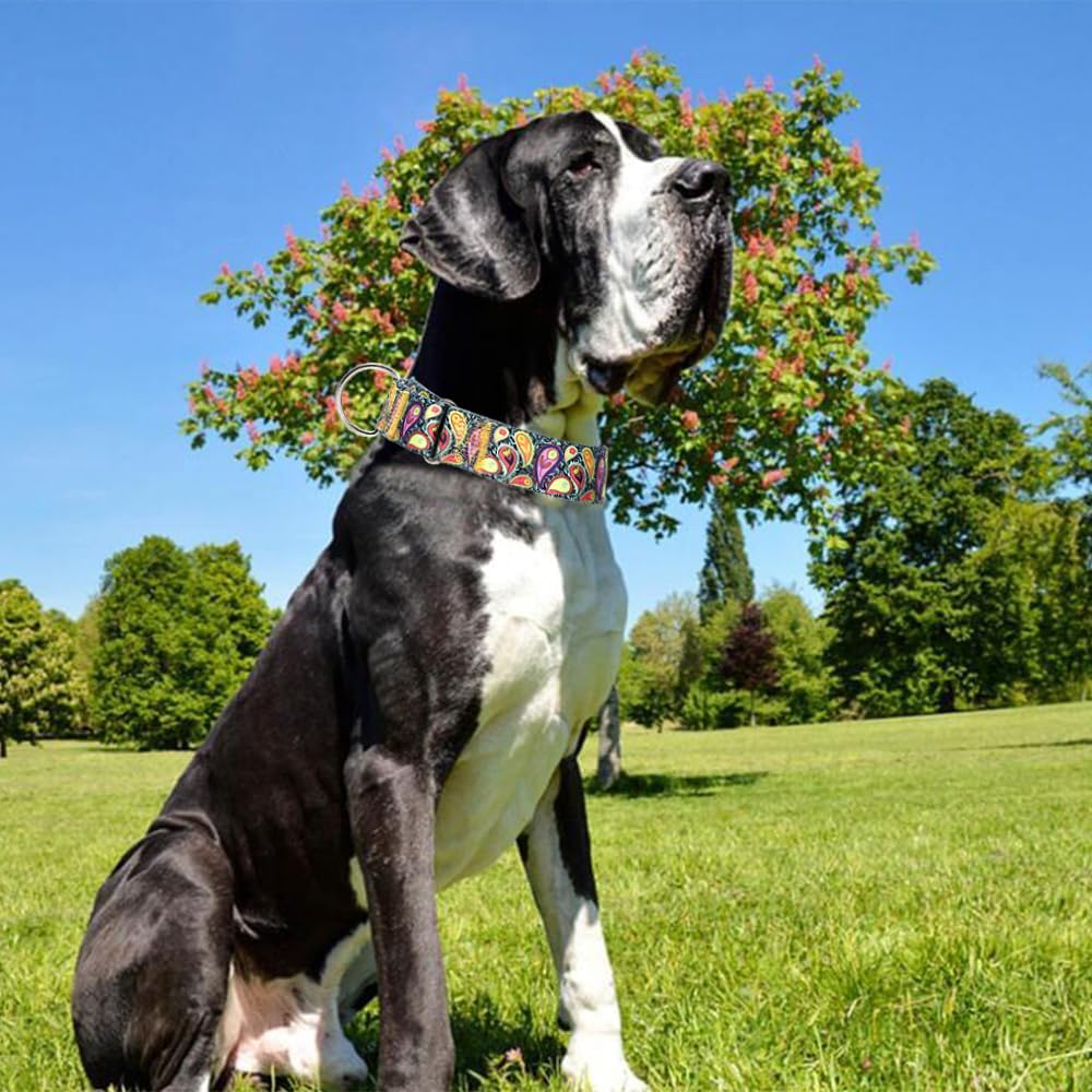 Martingale Dog Collar 1.5 Inch Wide - Heavy Duty Adjustable No-Pull Training Collar For Medium/Large Dogs, Cashew Flower Design