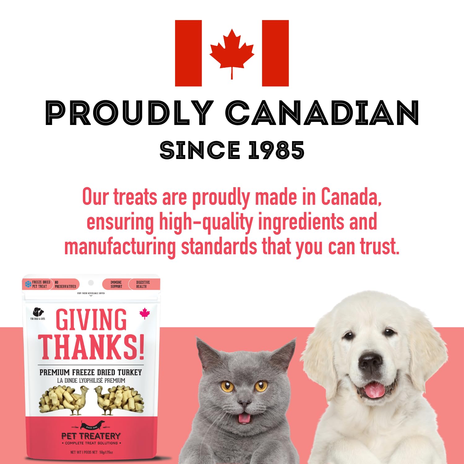 The Granville Island Pet Treatery Freeze Dried Turkey Treats for Dogs & Cats (1.76 oz, Pack of 1) - Single Ingredient Flash Froz