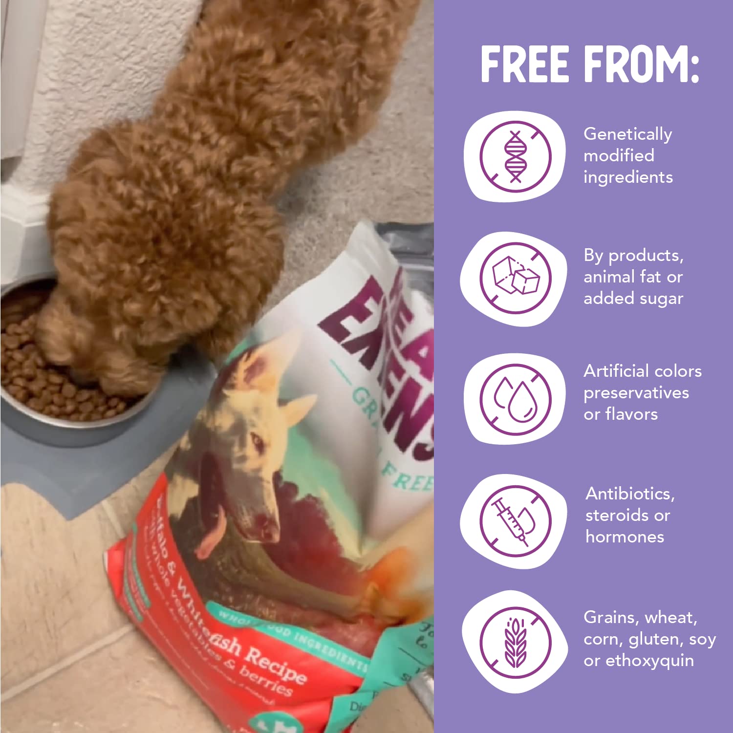 Health Extension Grain Free Buffalo & Whitefish Dry Dog Food (23.5 lb / 10.43 kg) - Whole Foods Ingredients Formula with Omega 3