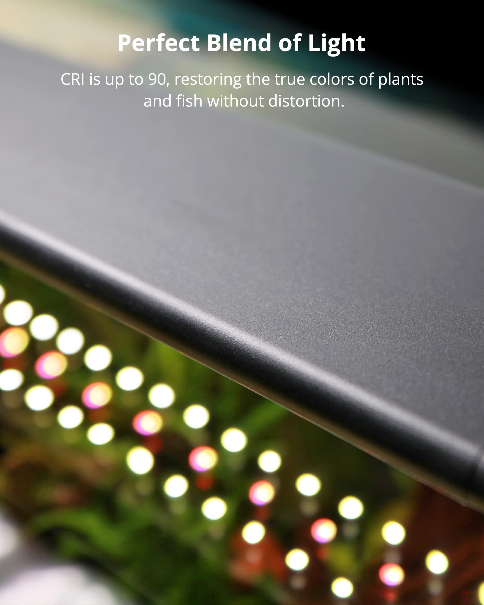 Nicrew Rgb+W 24/7 Led Aquarium Light With Remote Controller, Full Spectrum Fish Tank Light For Planted Freshwater Tanks, Planted Aquarium Light With Extendable Brackets To 12-18 Inches, 12 Watts