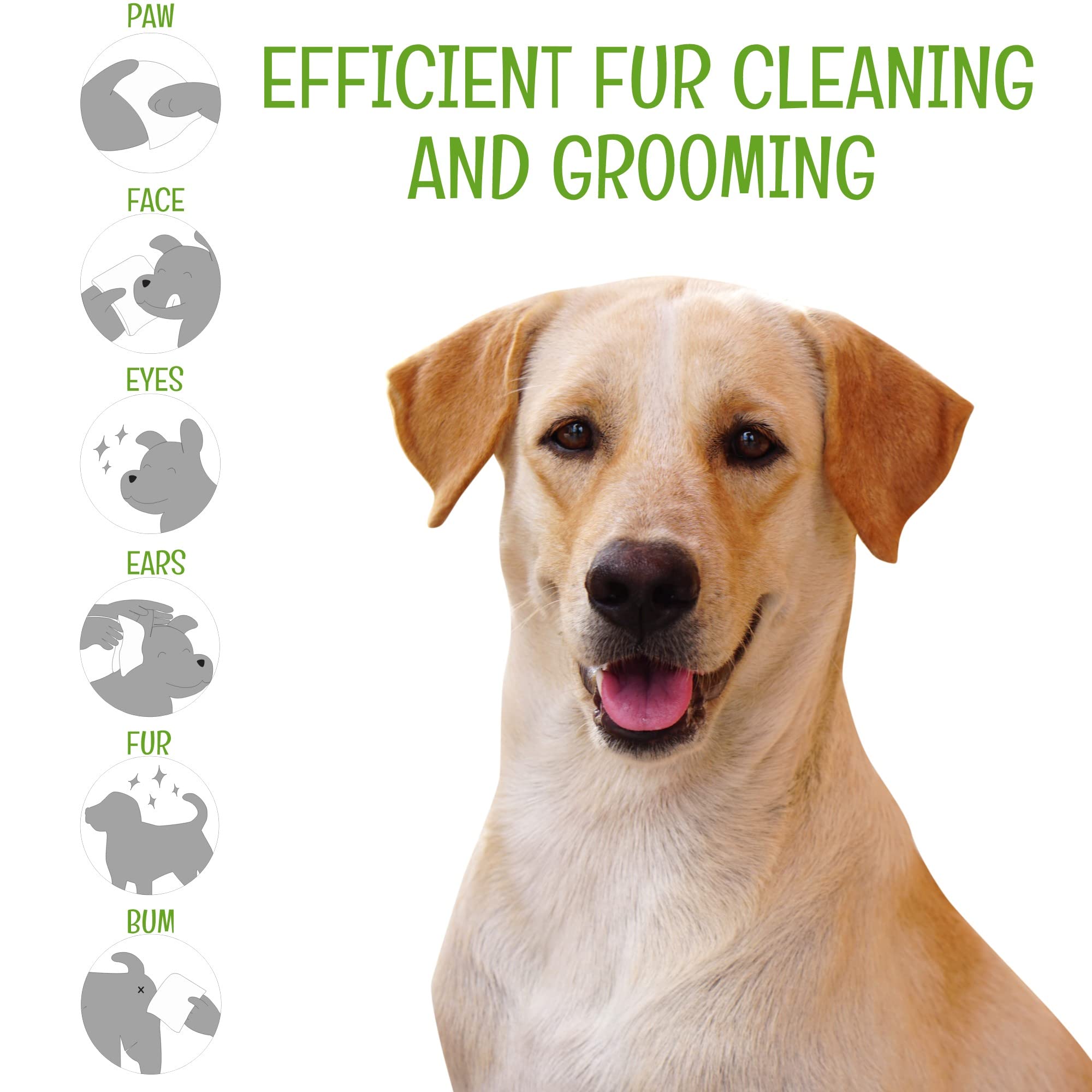 Petazy Dog Wipes For Paws And Butt Ears Eyes  Organic Pet Wipes For Dogs  Hypoallergenic Lavender Scented Dog Wipes Cleaning Deo