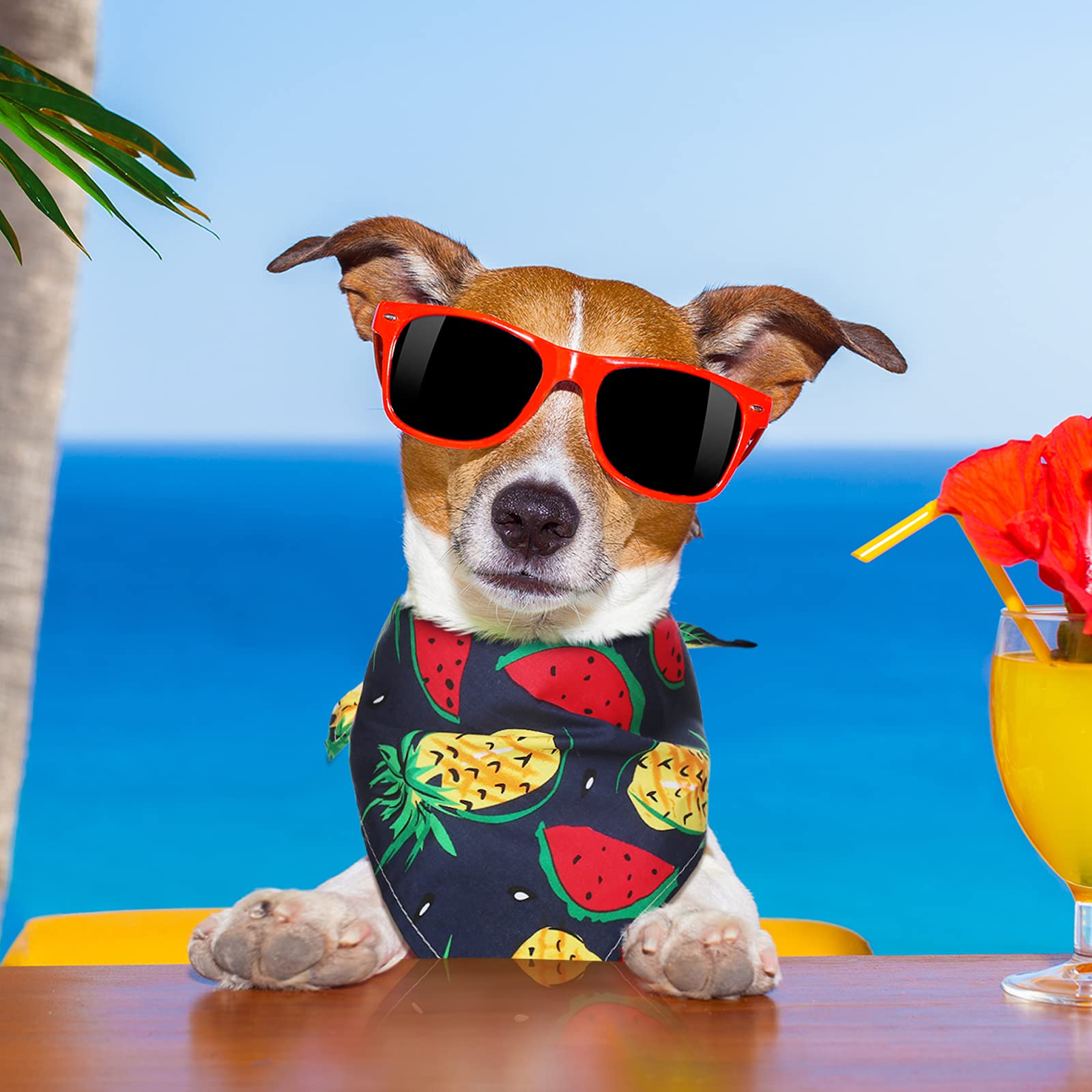 16 Pieces Fruit Dog Bandanas Washable Hawaii Pet Scarf Adjustable Triangle Dog Bibs Assortment Pet Kerchief Dog Bandana Accessor