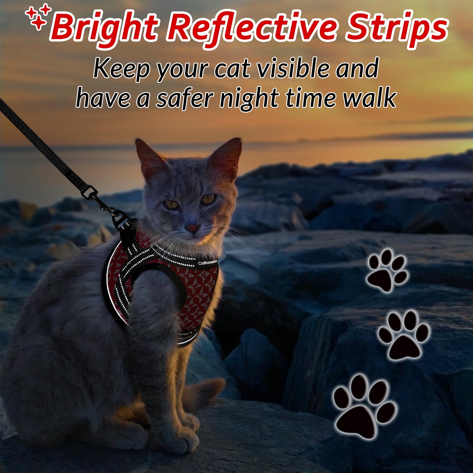 Catromance Cat Harness And Leash Set Escape Proof For Walking, Safe Adjustable Small Large Kitten Vest With Reflective Strip For Kitty, Easy Control Comfortable Soft Outdoor Harnesses, Red, Medium