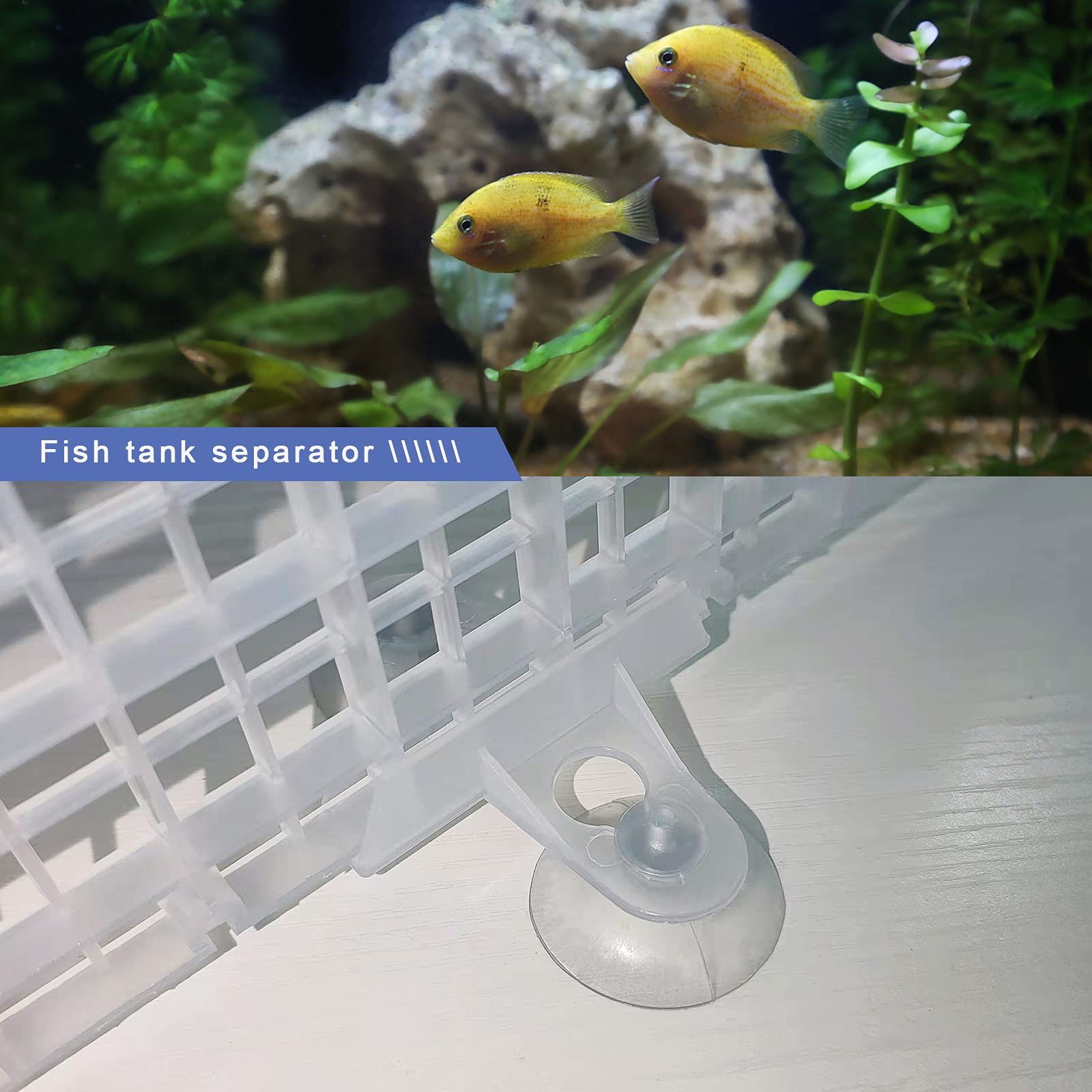 Create idea 10pcs Aquarium Divider Isolation Board Partition Pane Separator Tansparent Mixed Breeding to Keep Different Fish fro