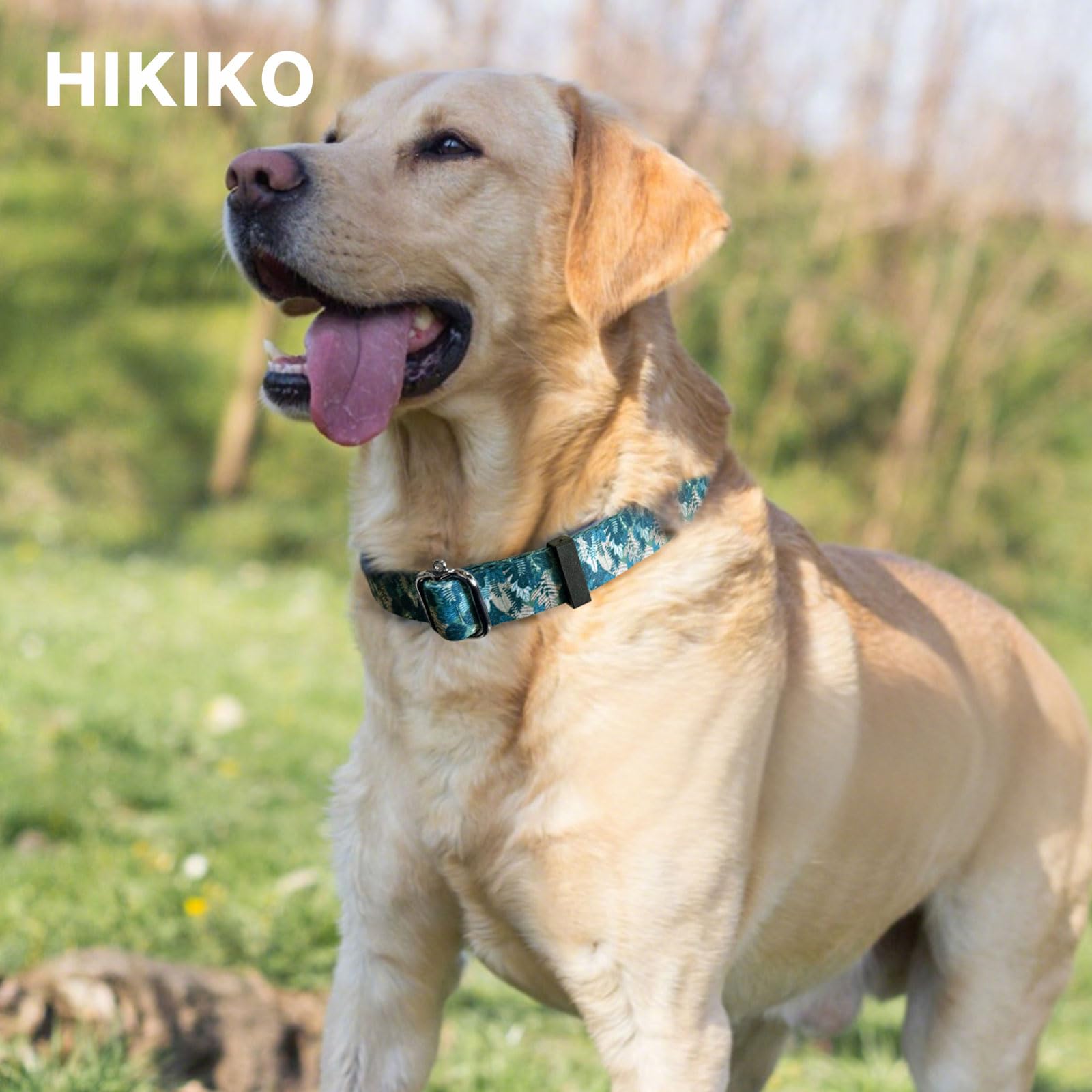 Hikiko Martingale Collar For Dogs With No Buckle Tropical Holiday Dog Collars For Small Dogs,Green Leaves,S