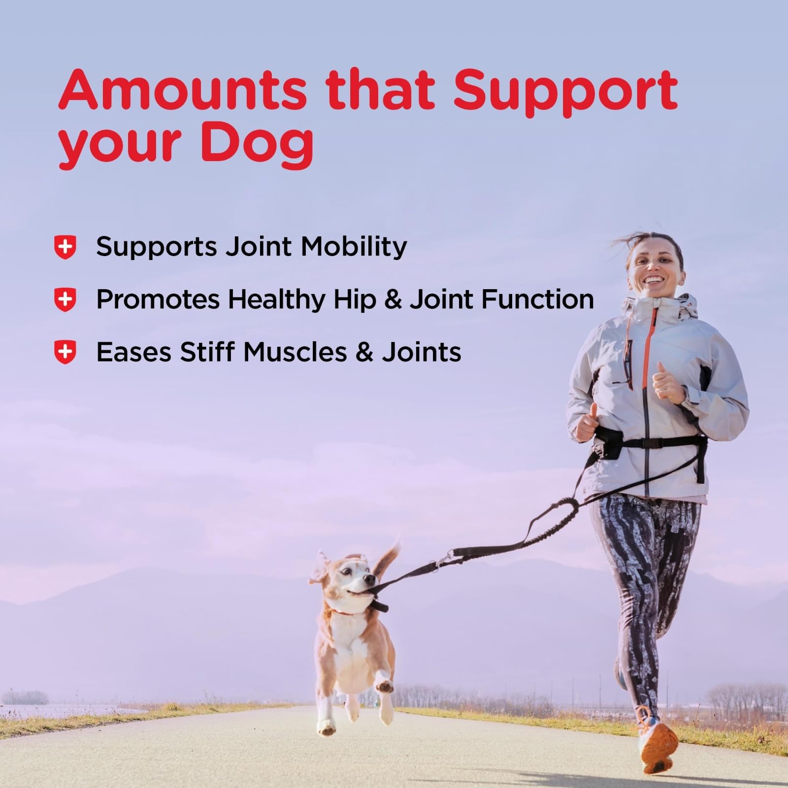 Nutri-Vet Hip & Joint Biscuits for Dogs - 4 lb Large Glucosamine Treats - 300mg Joint Supplement
