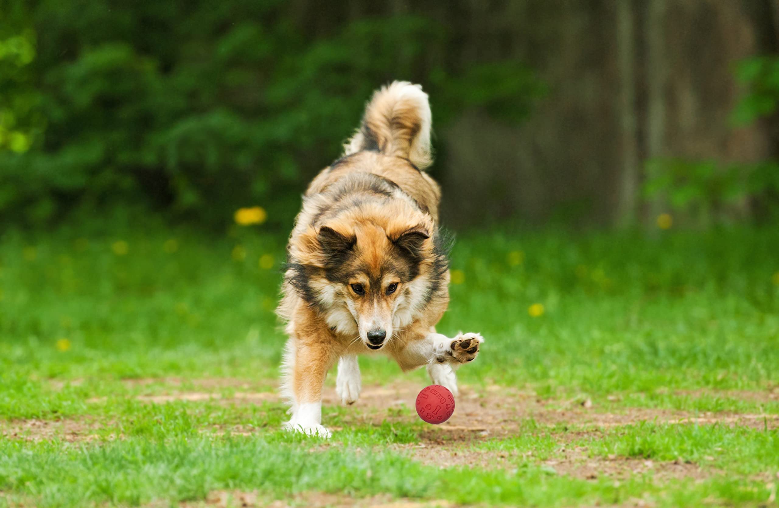 Snug Rubber Dog Balls - Indestructible Tennis Size (3 Pack) - Fresh for Small & Medium Dogs - Model SNDBFRSH