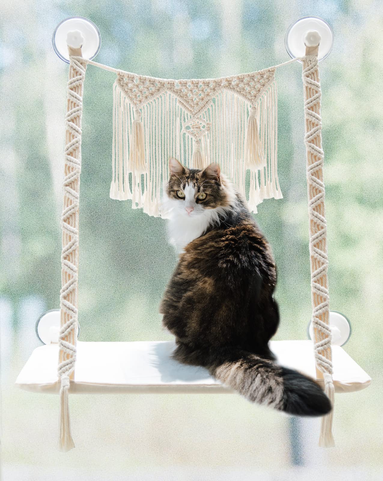 Dahey Cat Window Perch Macrame Cat Hammock Boho Wall Mounted Pet Resting Seat Bed For Indoor Cats Space Saving Kitty Sunny Swing