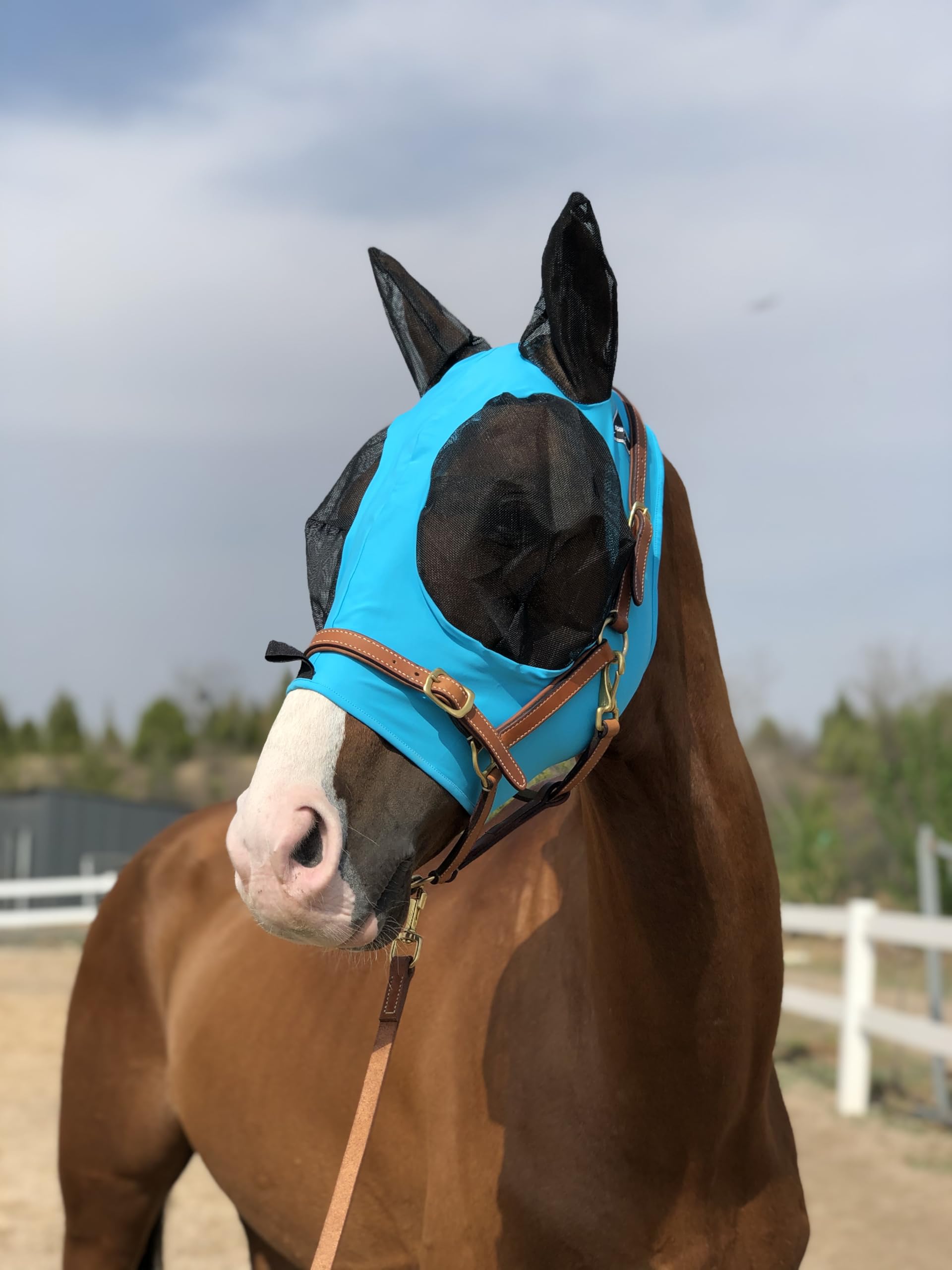 Horse Fly Mask Super Comfort Elasticity Horse Fly Mask with Ears We Only Make Products That Horses Like (Pacific Blue, L)