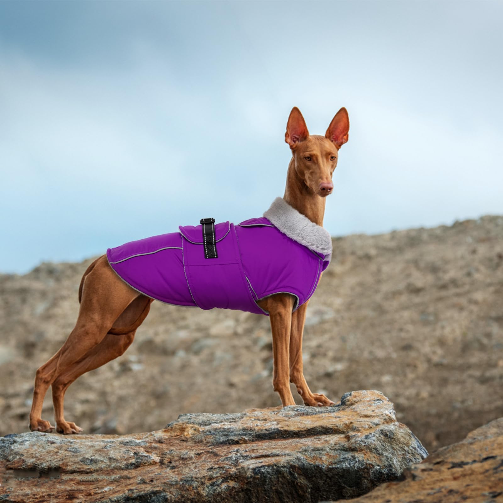 Lelepet Warm Dog Coat Reflective Dog Fleece Vest Waterproof Dog Jacket Windproof Dog Winter Coat Dog Cold Weather Coats With Adjustable Buckle Fleece Lining Dog Snowsuit Dog Coat For Large Dogs, L