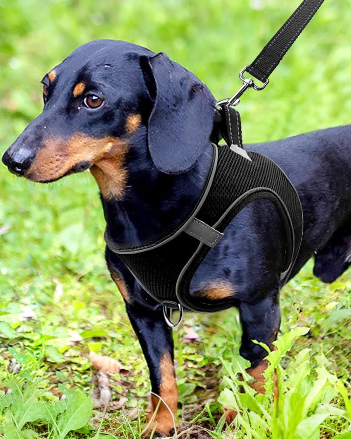 Joytale Step In Dog Harness,12 Colors,Breathable Mesh Vest Harness,Reflective Soft Padded Harnesses For Small And Medium Dogs,Bl