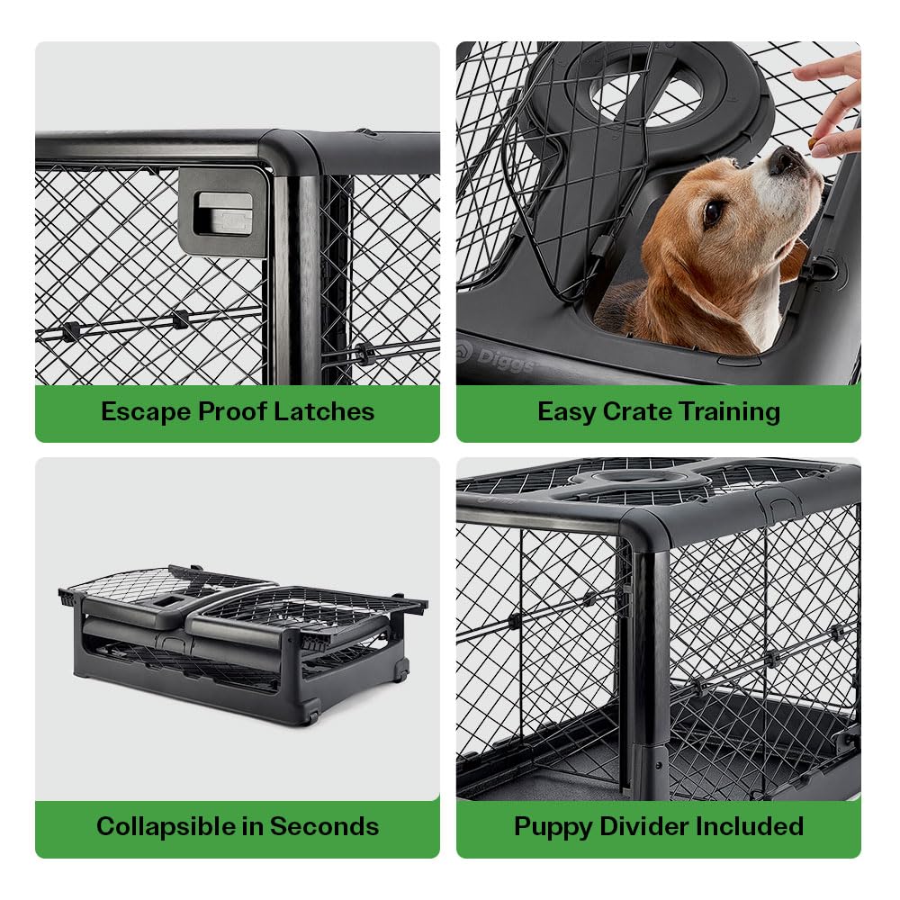 Diggs Revol Collapsible Dog Crate With Wheels - Premium Portable Dog Crate - Safe, Stylish, And Convenient Indoor Kennel (Charco