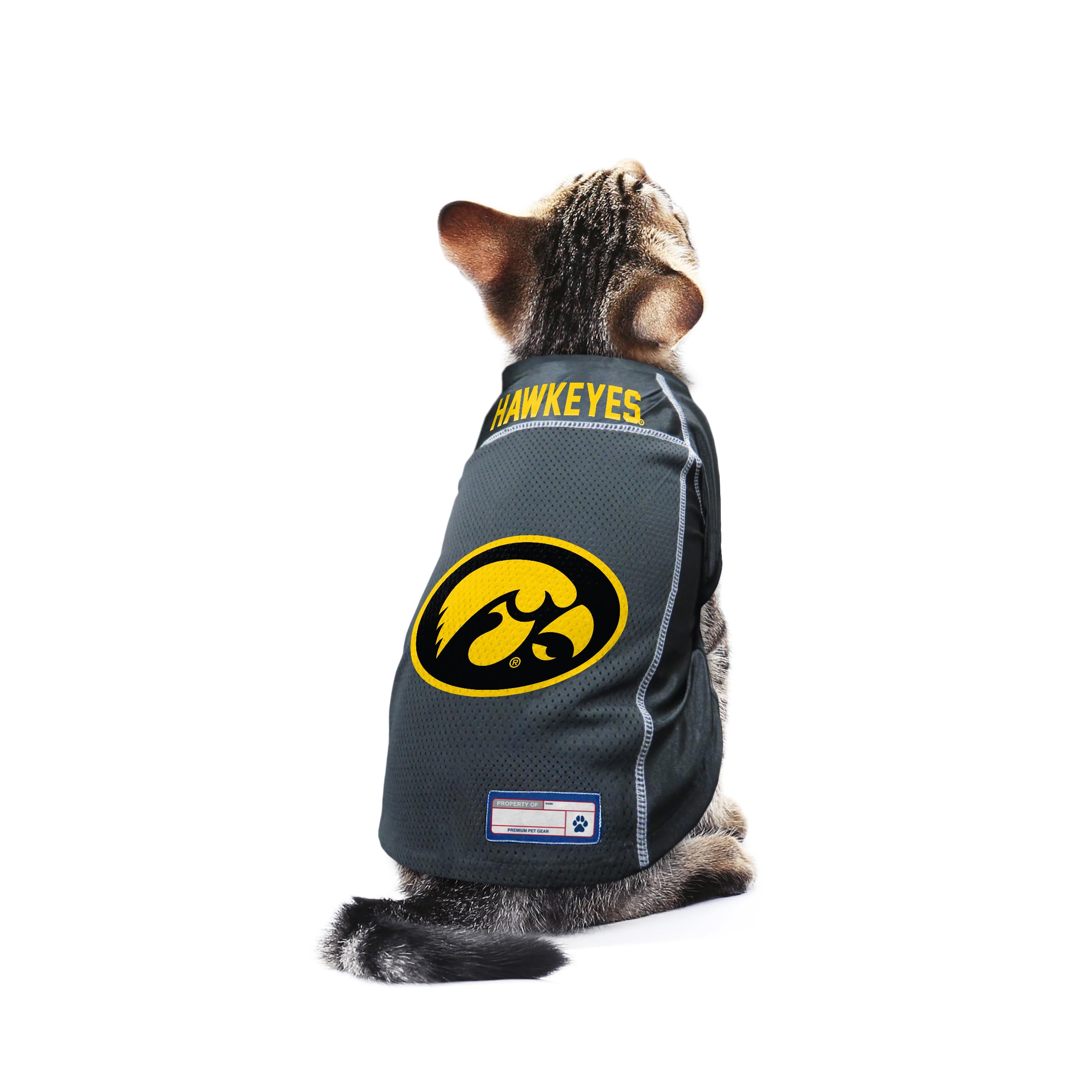 Littlearth Iowa Hawkeyes Ncaa Basic Pet Jersey