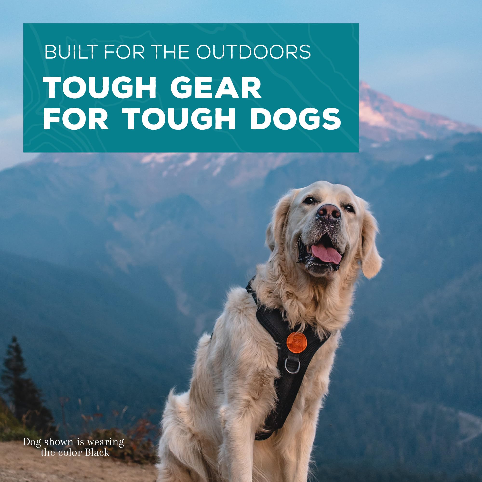 Wilderdog Lightweight Dog Harness With Reflective Straps - Small - Black